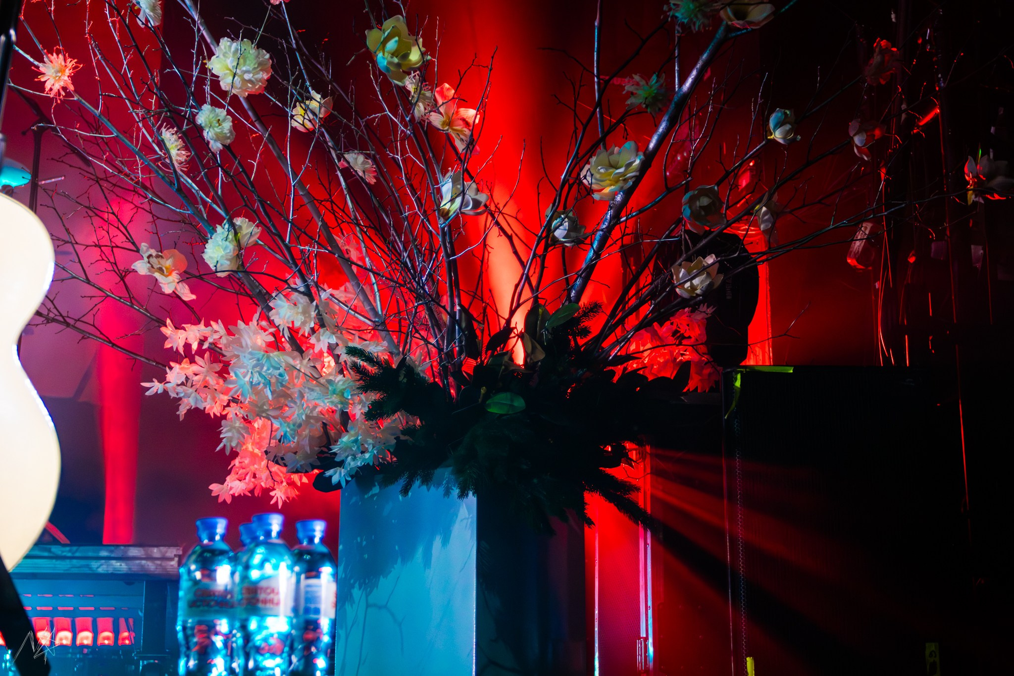 Мукка. Концертный фотограф