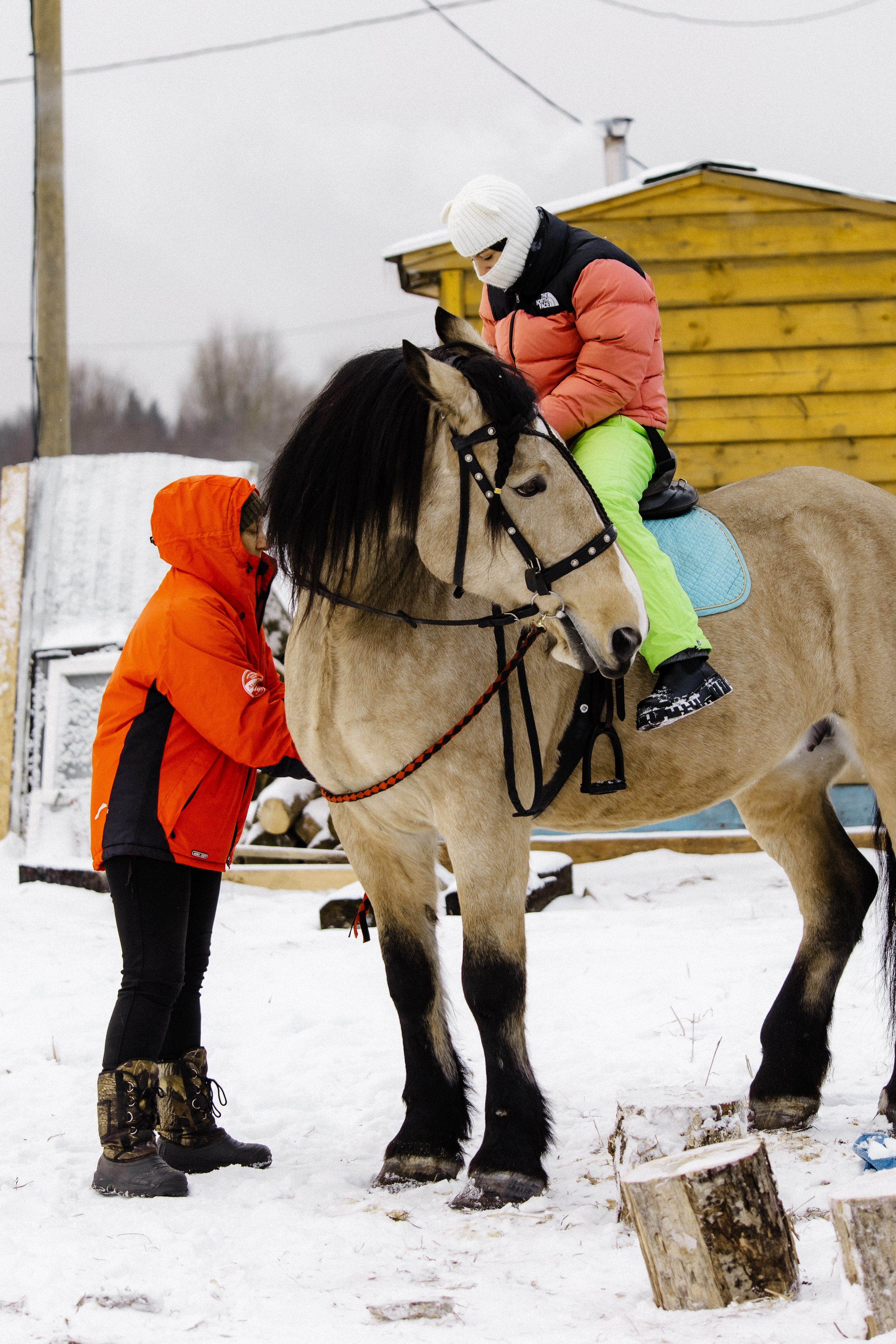 Миниферма в Теребочево. Свадебный и семейный фотограф в г. Волхов Алексей Кочерыжкин