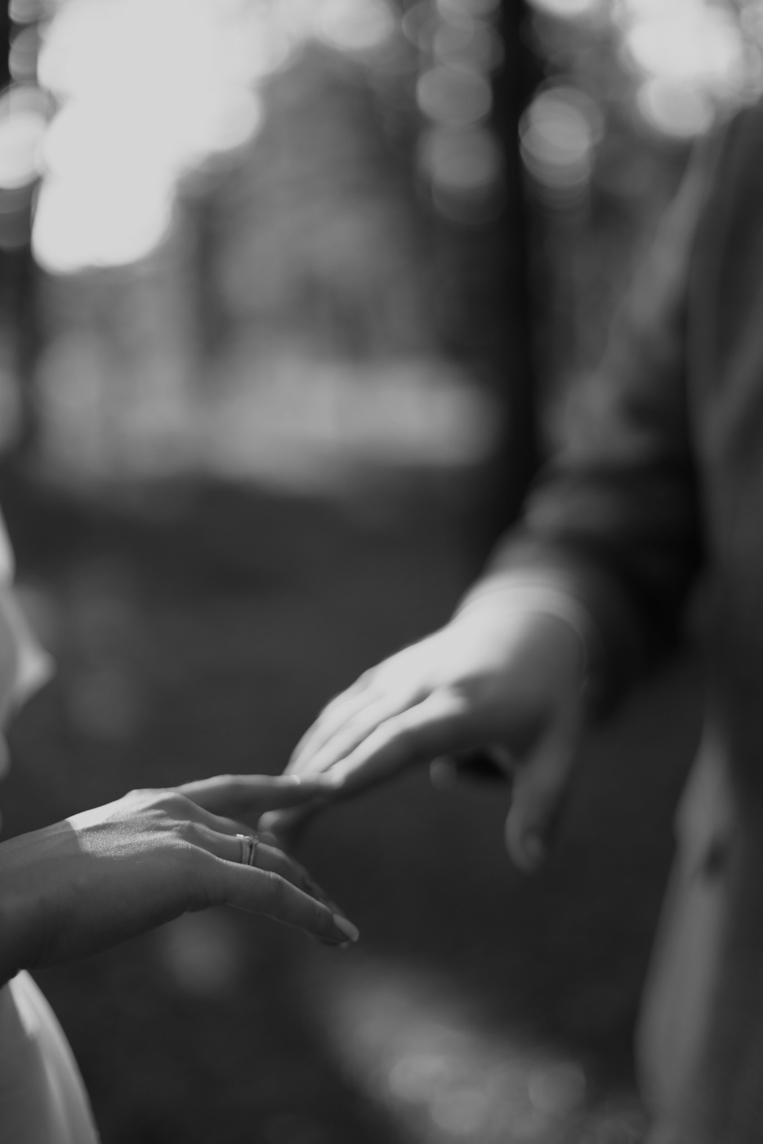 Корги свадьба в сосновом лесу. Фотограф Москва Жуковский Раменское