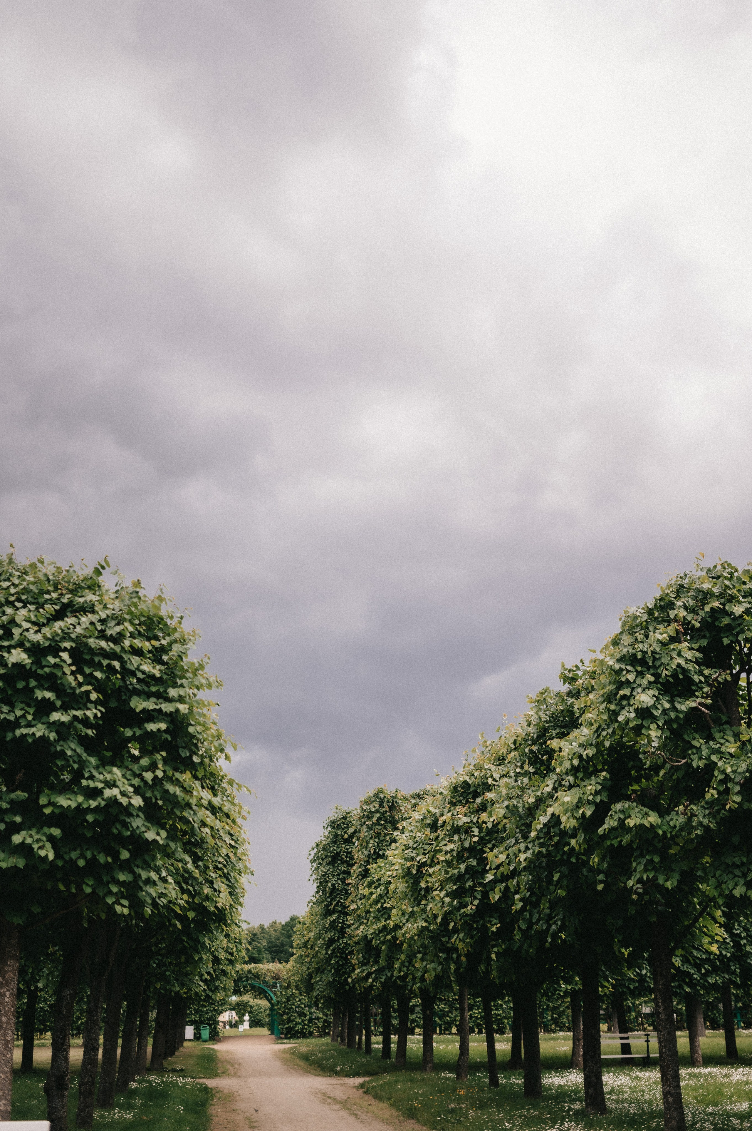 Максим и Лика. Архангельское. Семейный и свадебный lifestyle-фотограф в Москве Мария Петрова