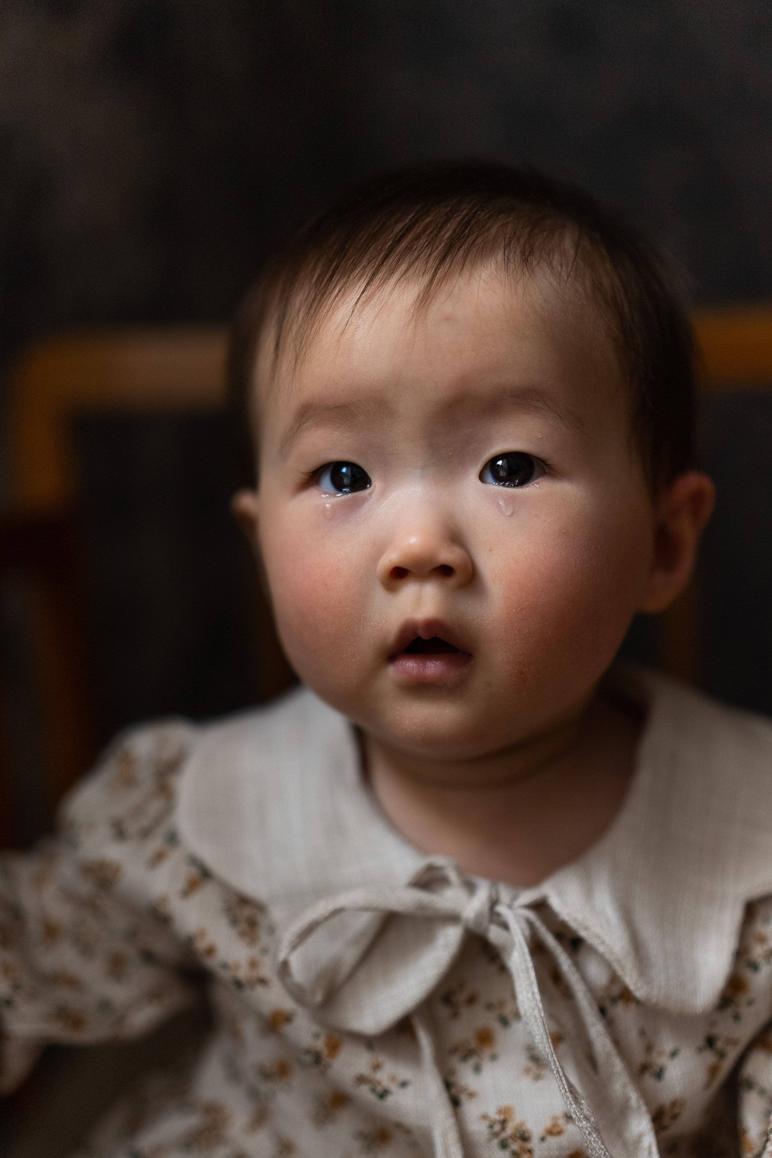 Семейный фотограф и видеограф Алёна Ким