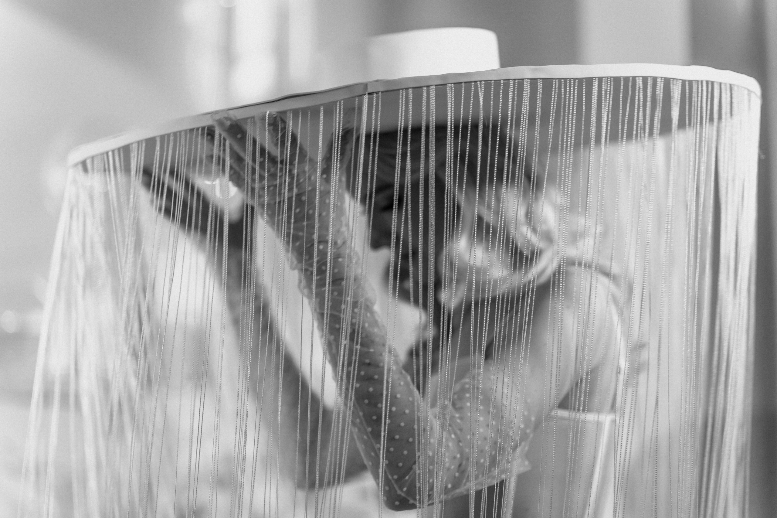 Ii Flowers & Fish. Свадебный фотограф в Ростове-на-Дону