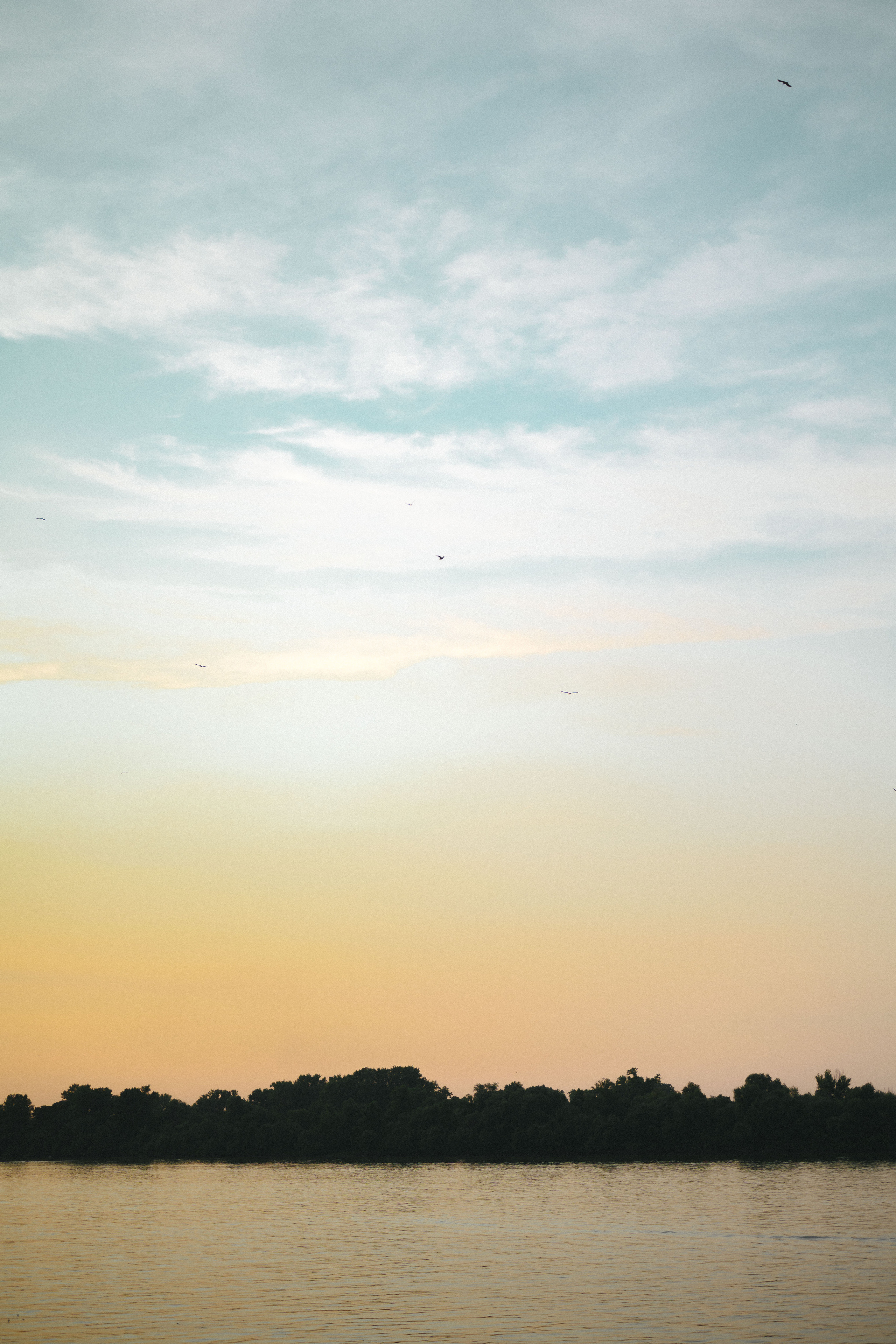 Мужская фотосессия в городе, фото съемка танца. Фотограф в Белграде Чугреева Елена
