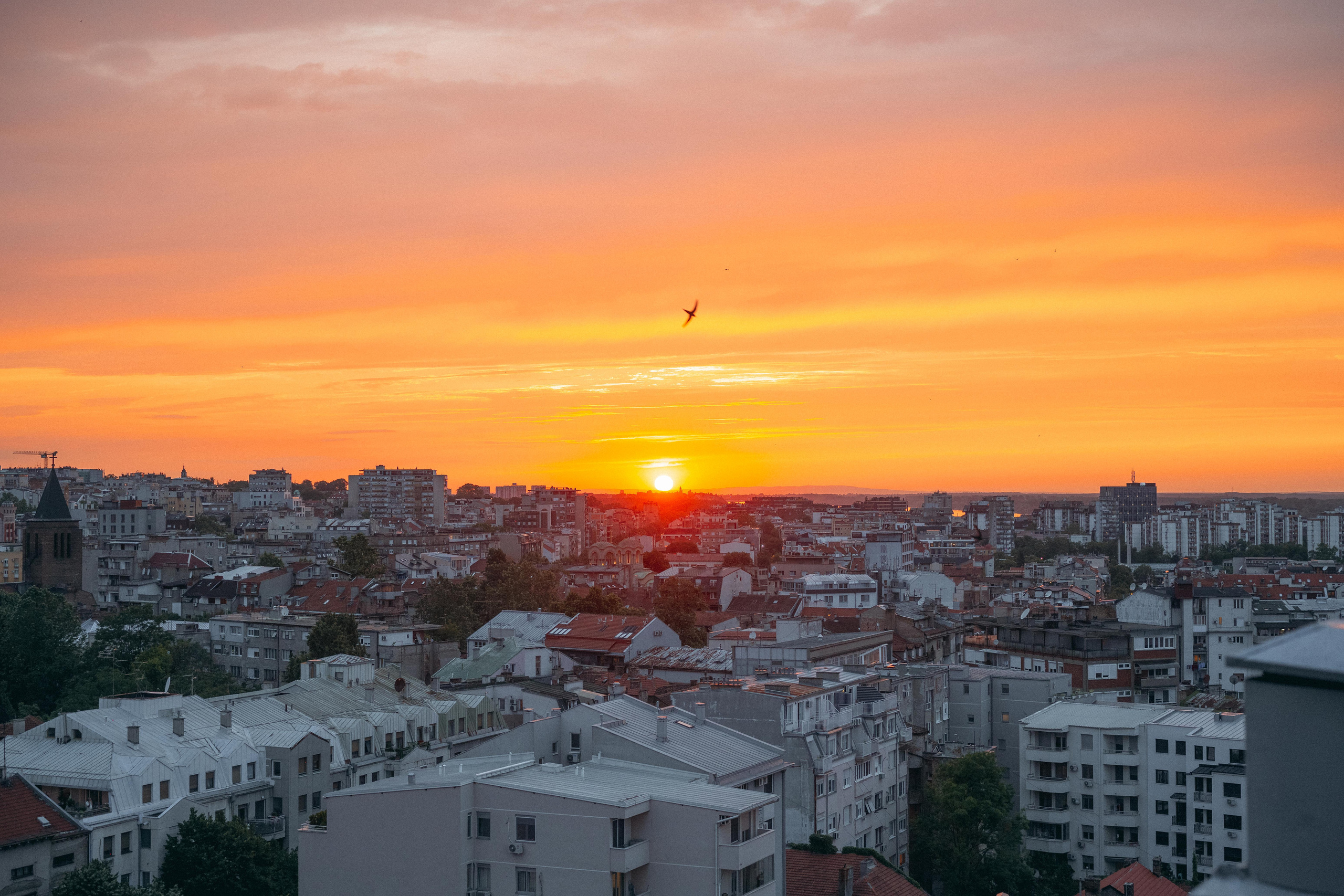 Женский портрет на крыше. Фотограф в Белграде Чугреева Елена