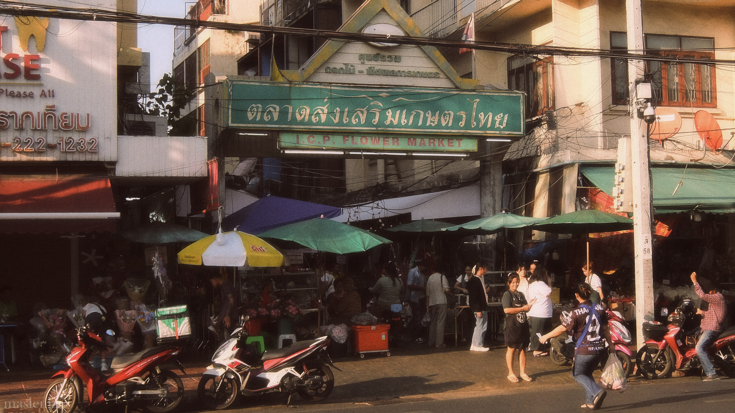 BANGKOK 2026. Фотограф Елизавета Маслова. Москва. Art, Fashion