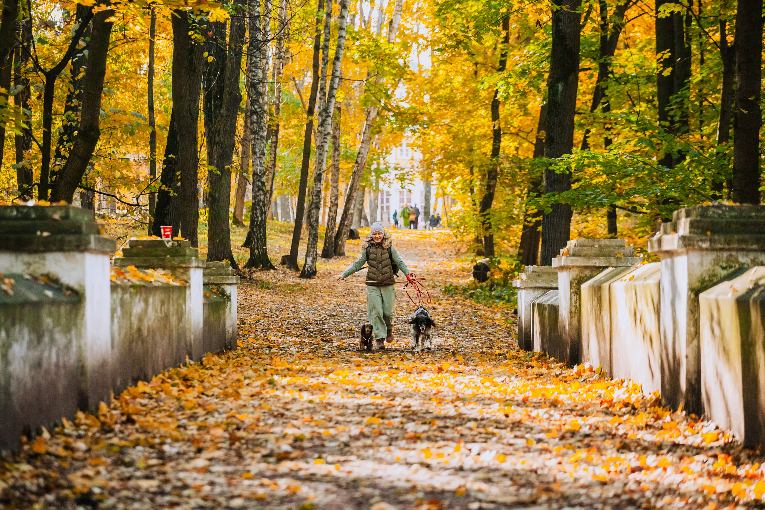 Света, Хайди, Богдана. Фотограф-анималист Татьяна Степанова
