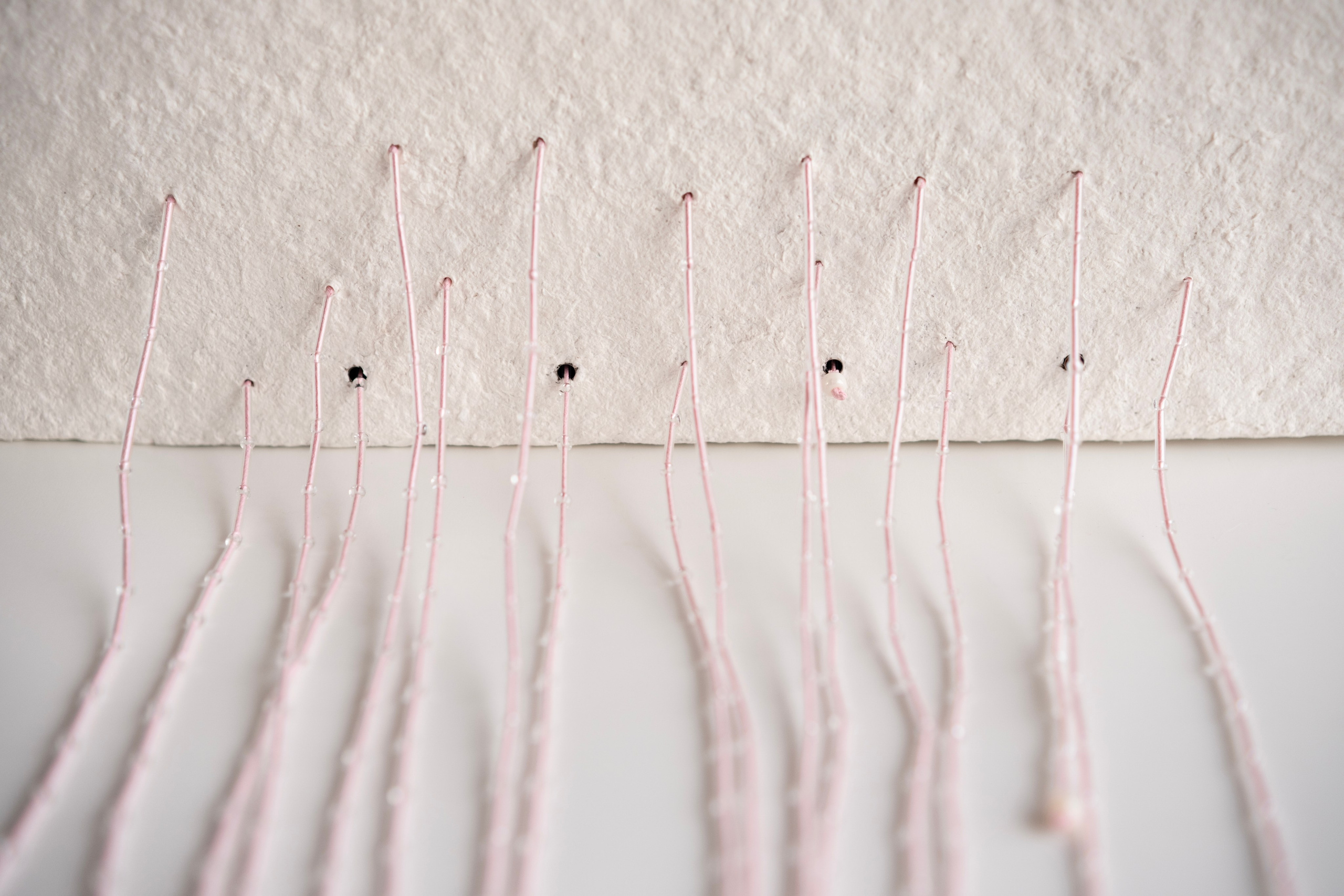 Сердце дома. Visual artist