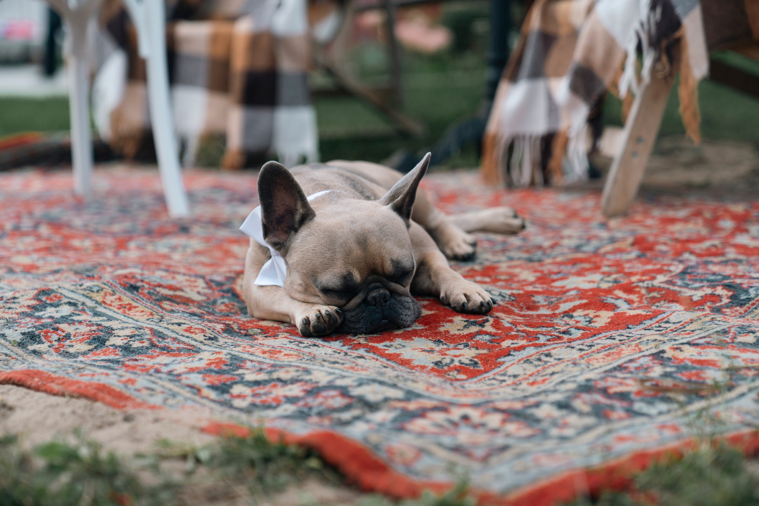 Света и Мевлют. Свадебный фотограф в Москве Кристина Чехова