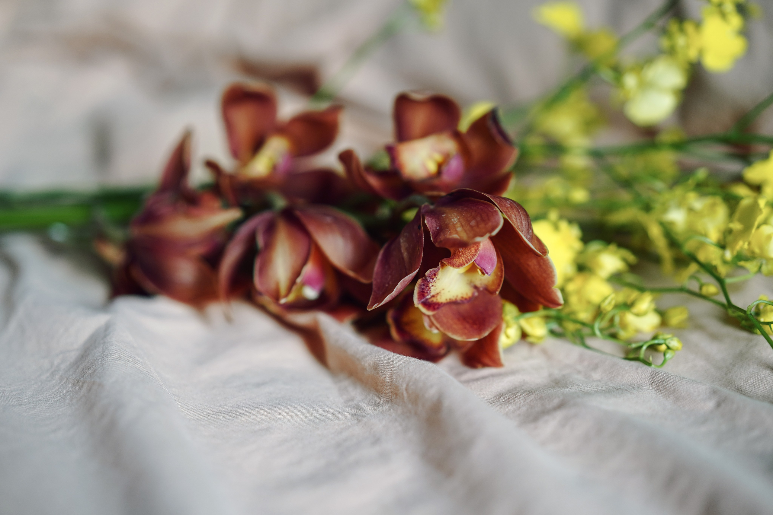 Азия. Светлана Гордеева. Портретный фотограф