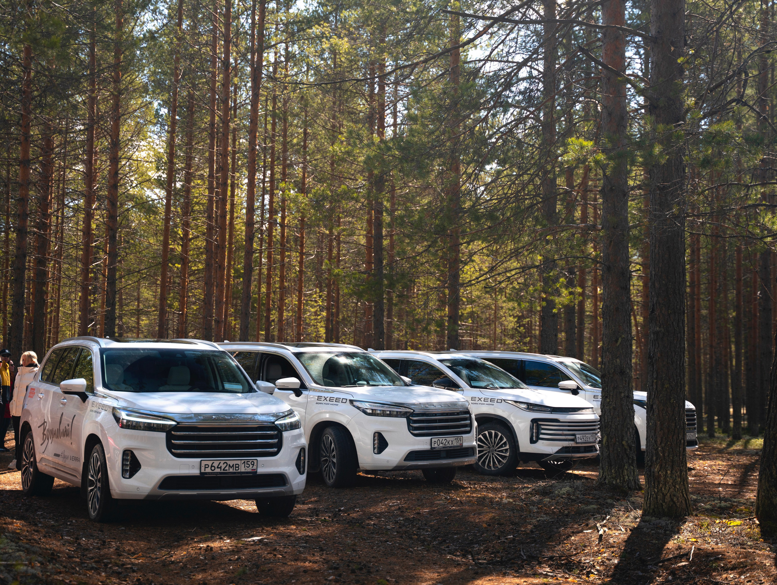 Контент съёмка. Главная