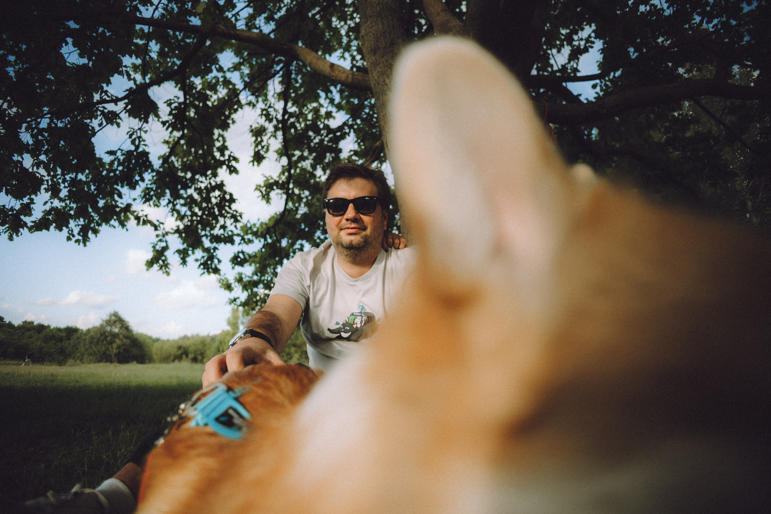 Вирджик и его семья