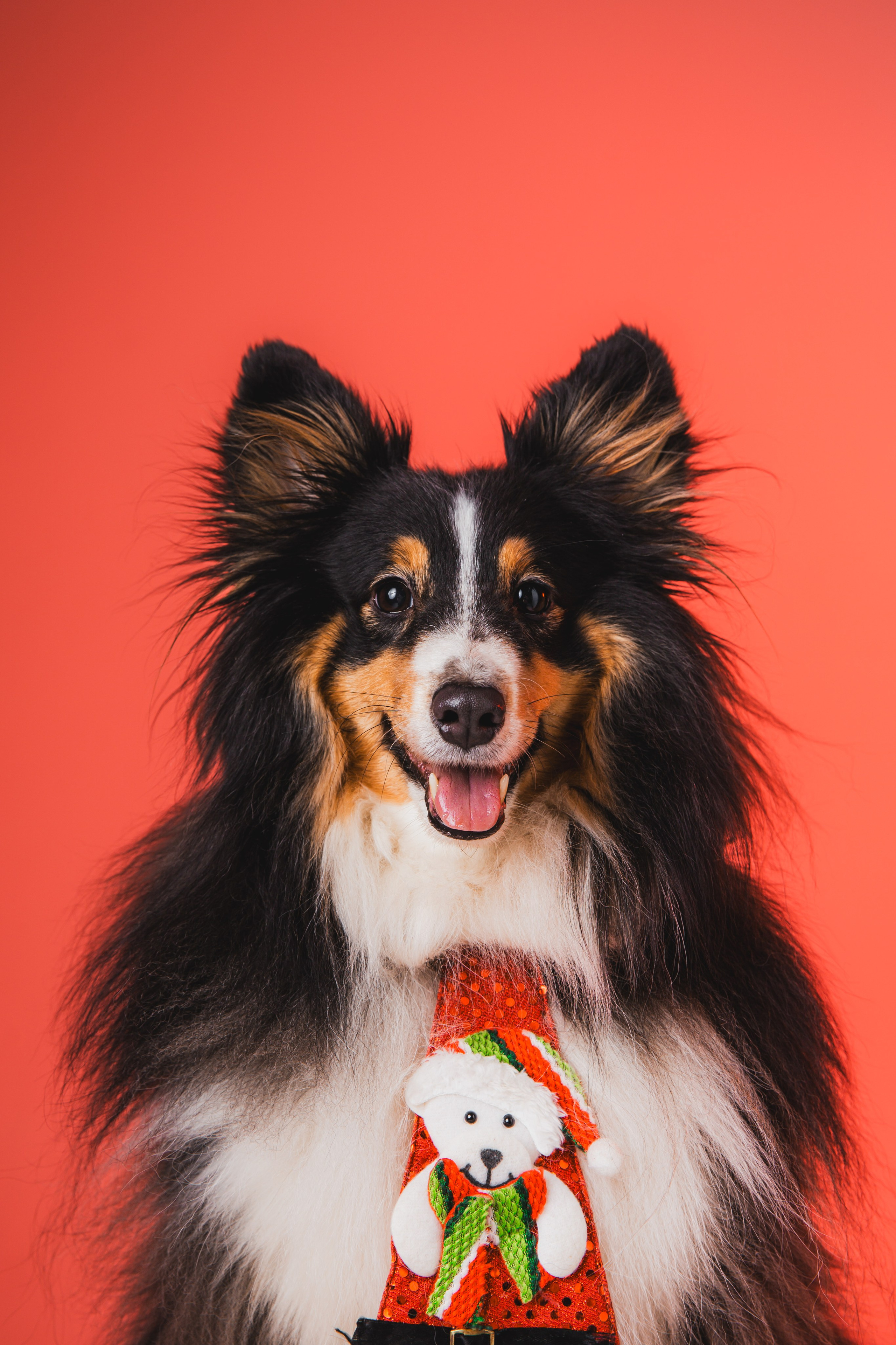 Воркшоп по импульсному свету