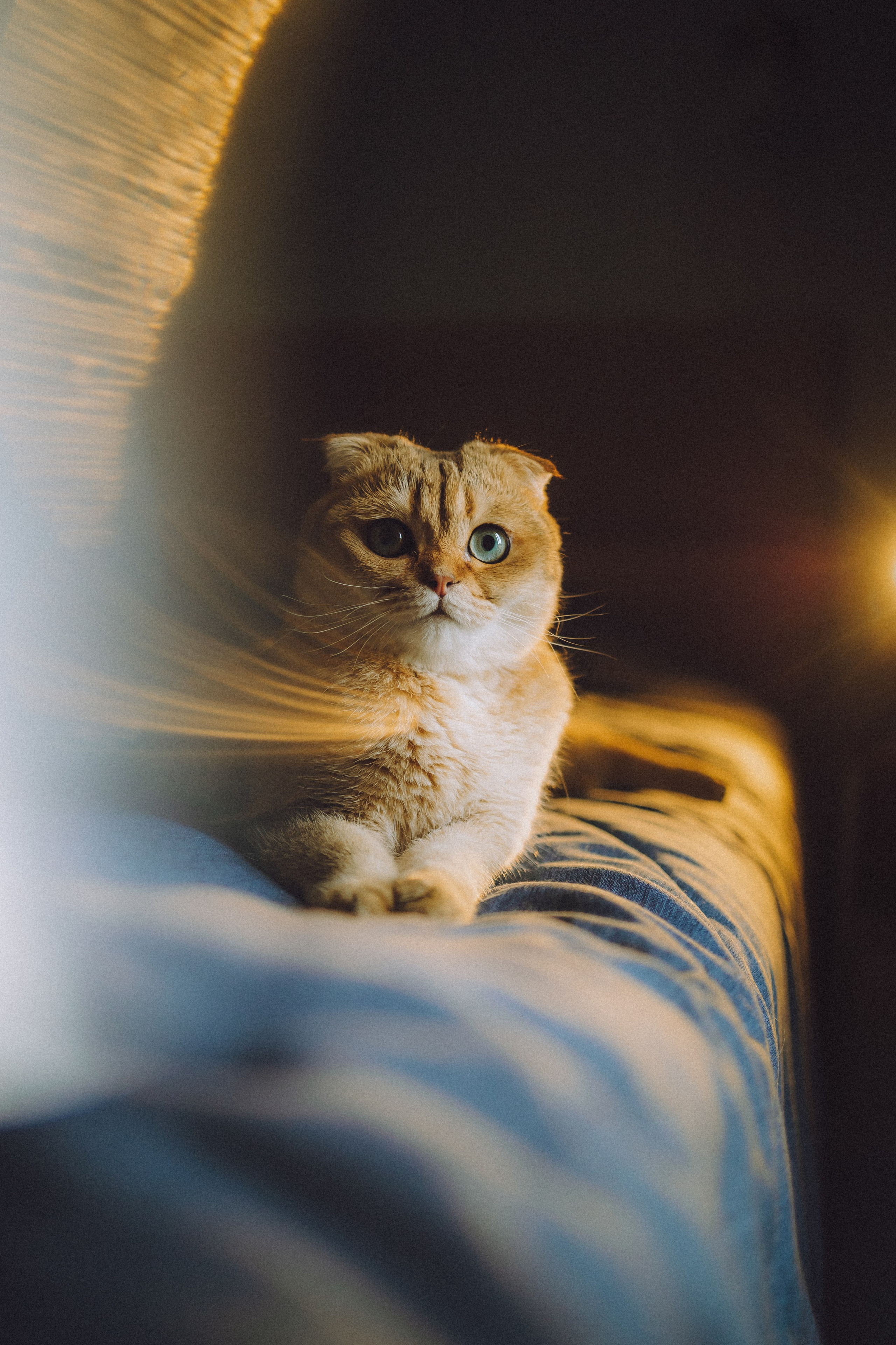 Генри и его семья