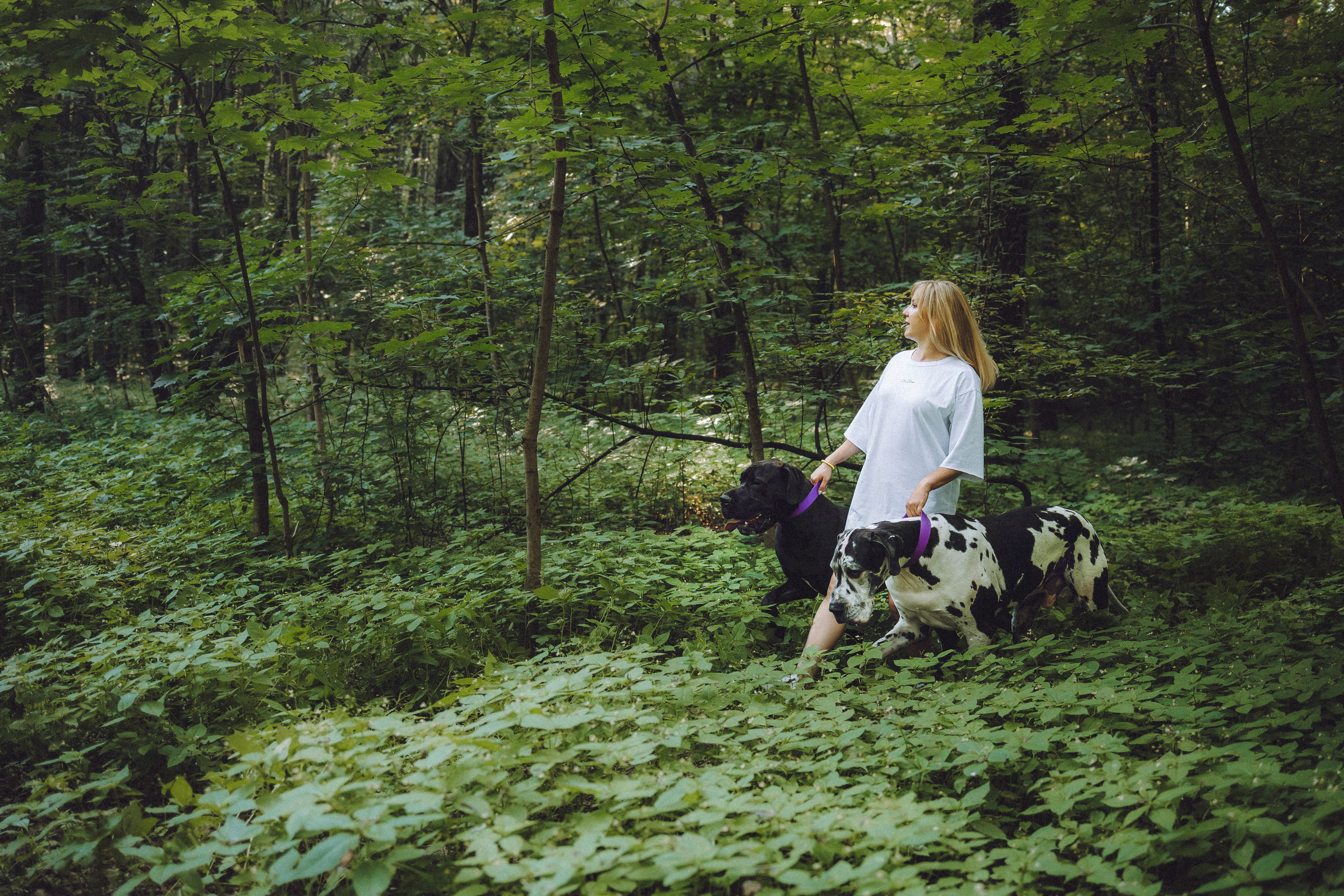 Катя, Андрей, Гектор, Ричи, Тортик и Трой