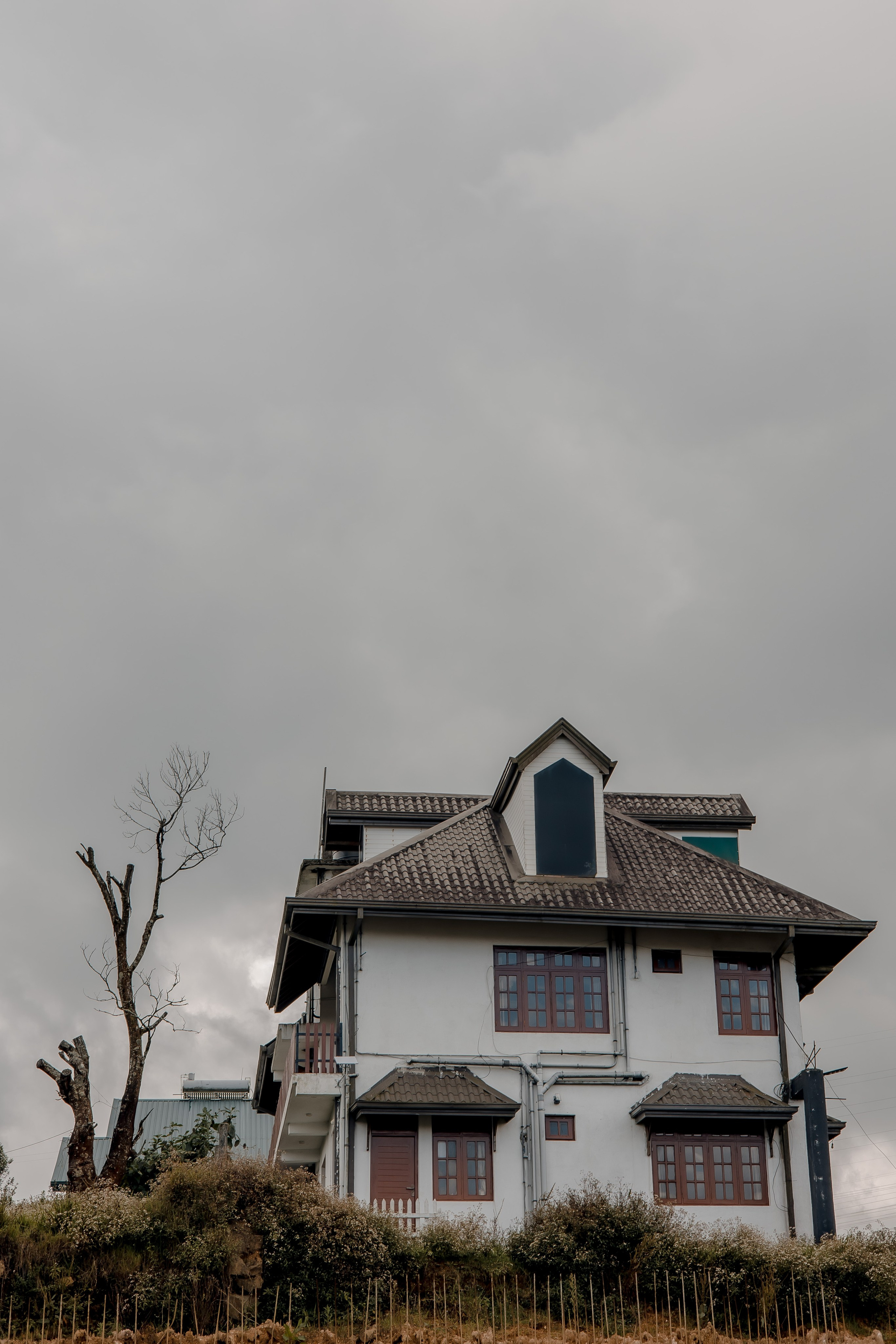 Sri Lanka, Nuwara Elia 2026. Art Photographer