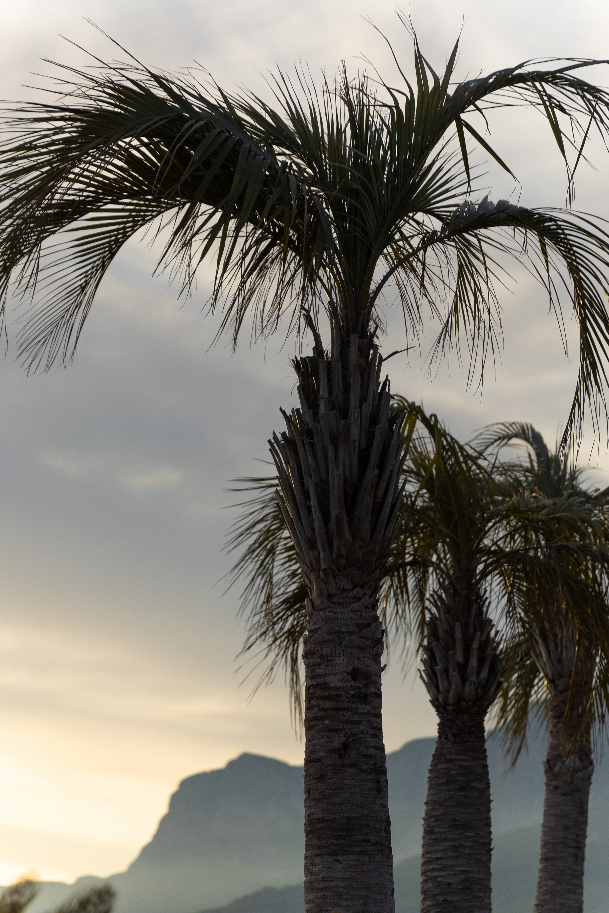 Ты — мой свет. Главная