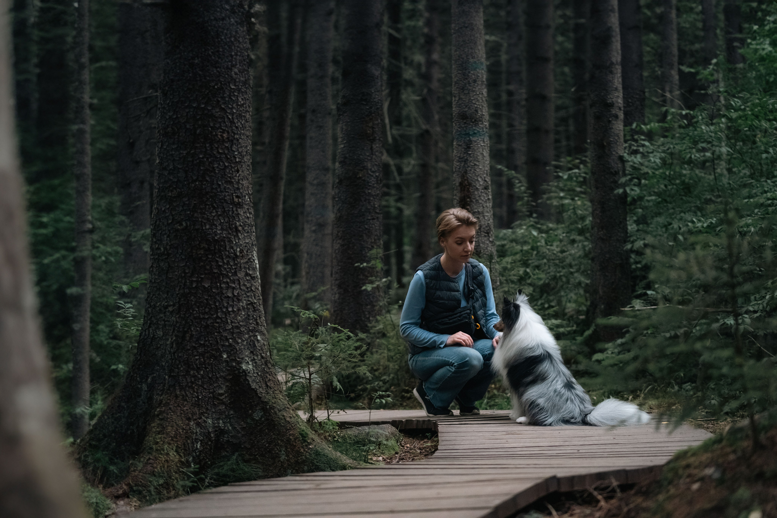 Лесная Элис. Фотограф анималист