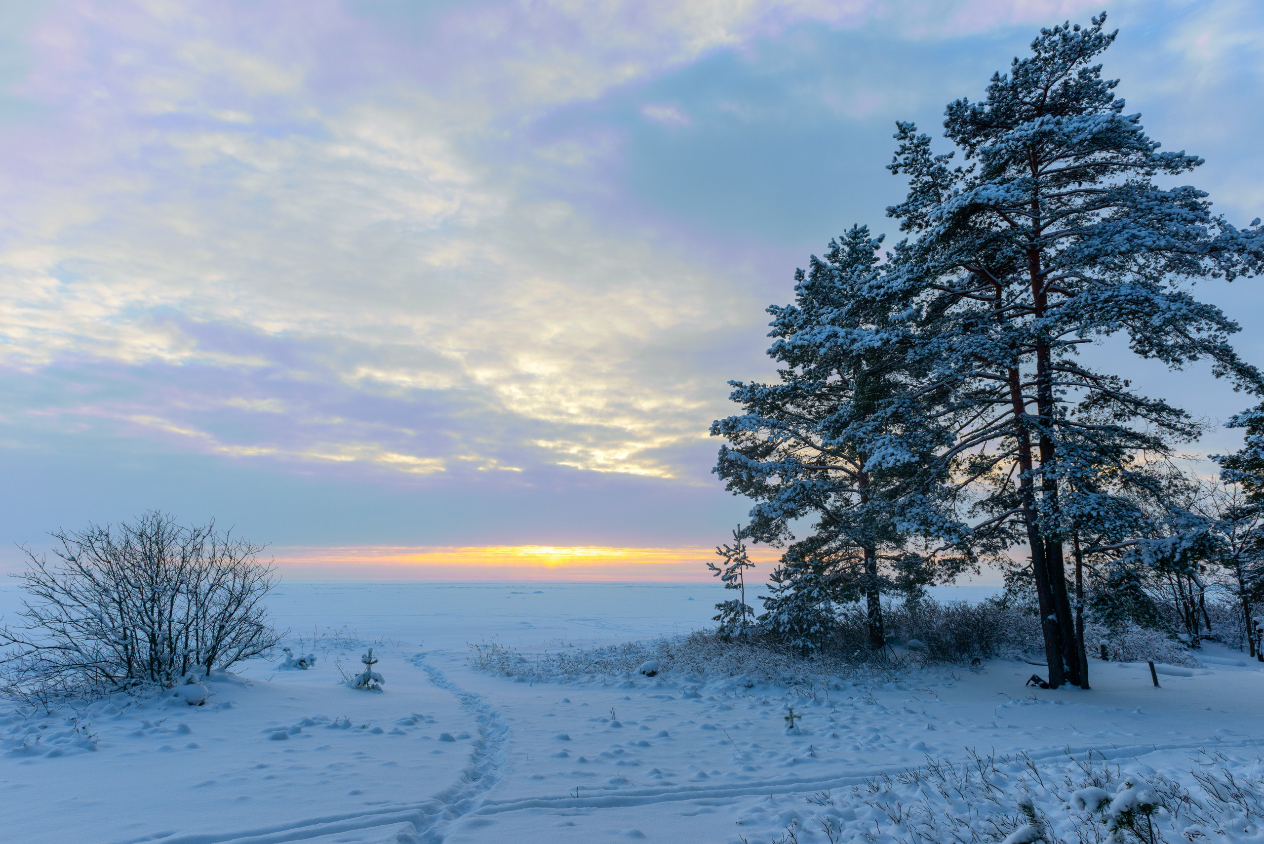 Landscape, nature, plants, details of the world around us. Personal website of photographer Dmitry Raikin