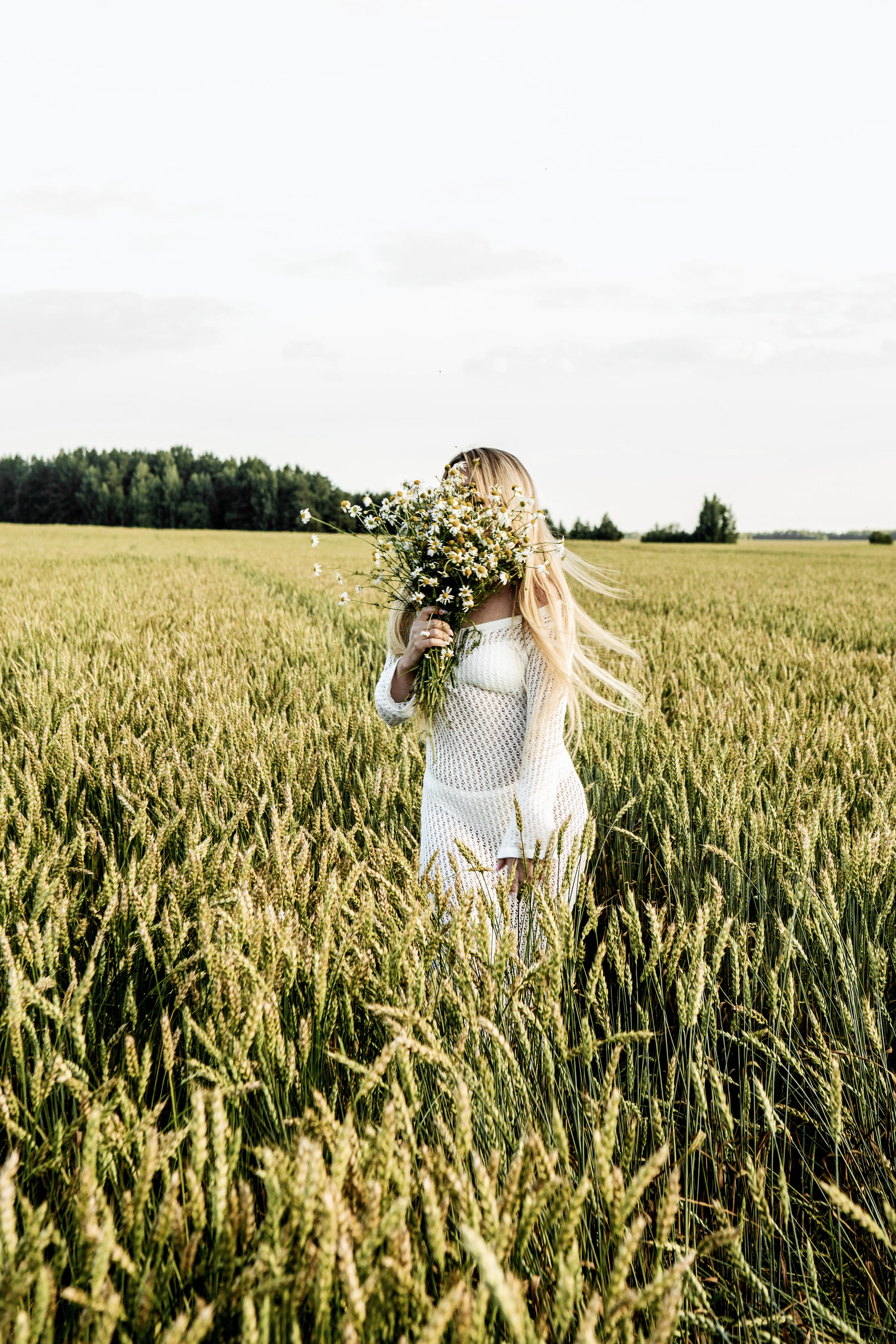 Ромашки. Фотограф Екатерина Голицына