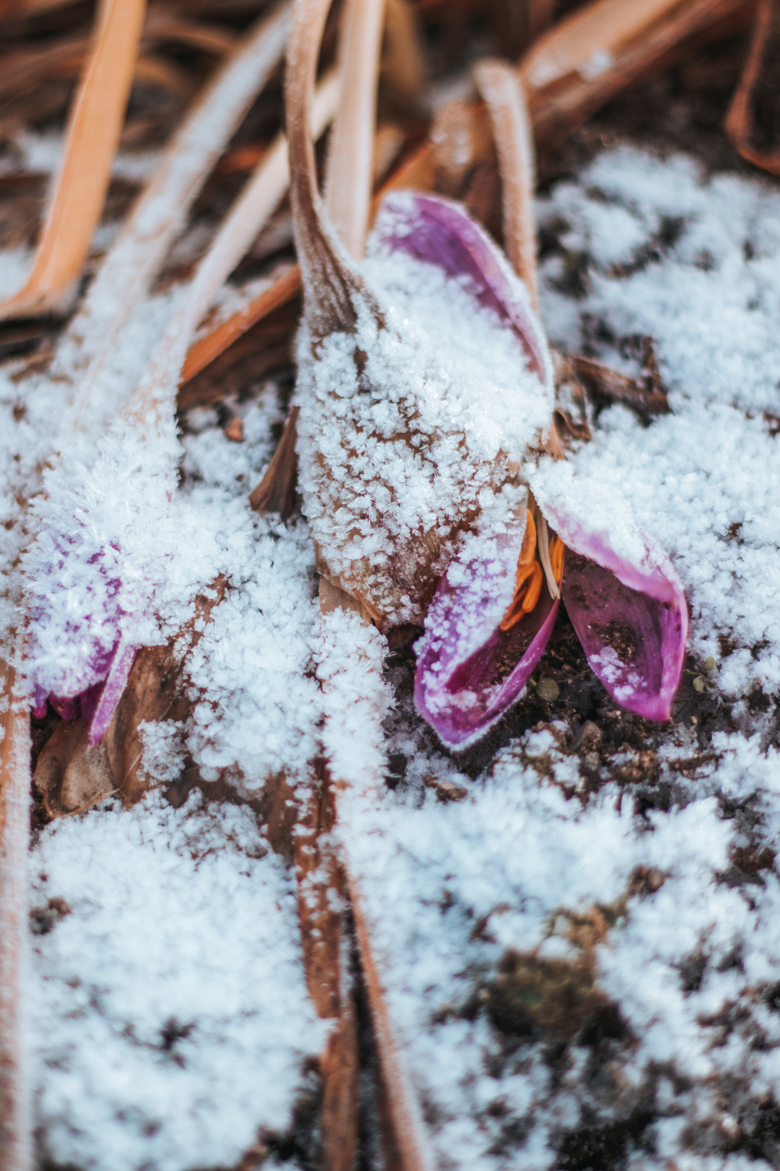 Природа. Руслана Селиванова семейный, портретный фотограф в Петрозаводске