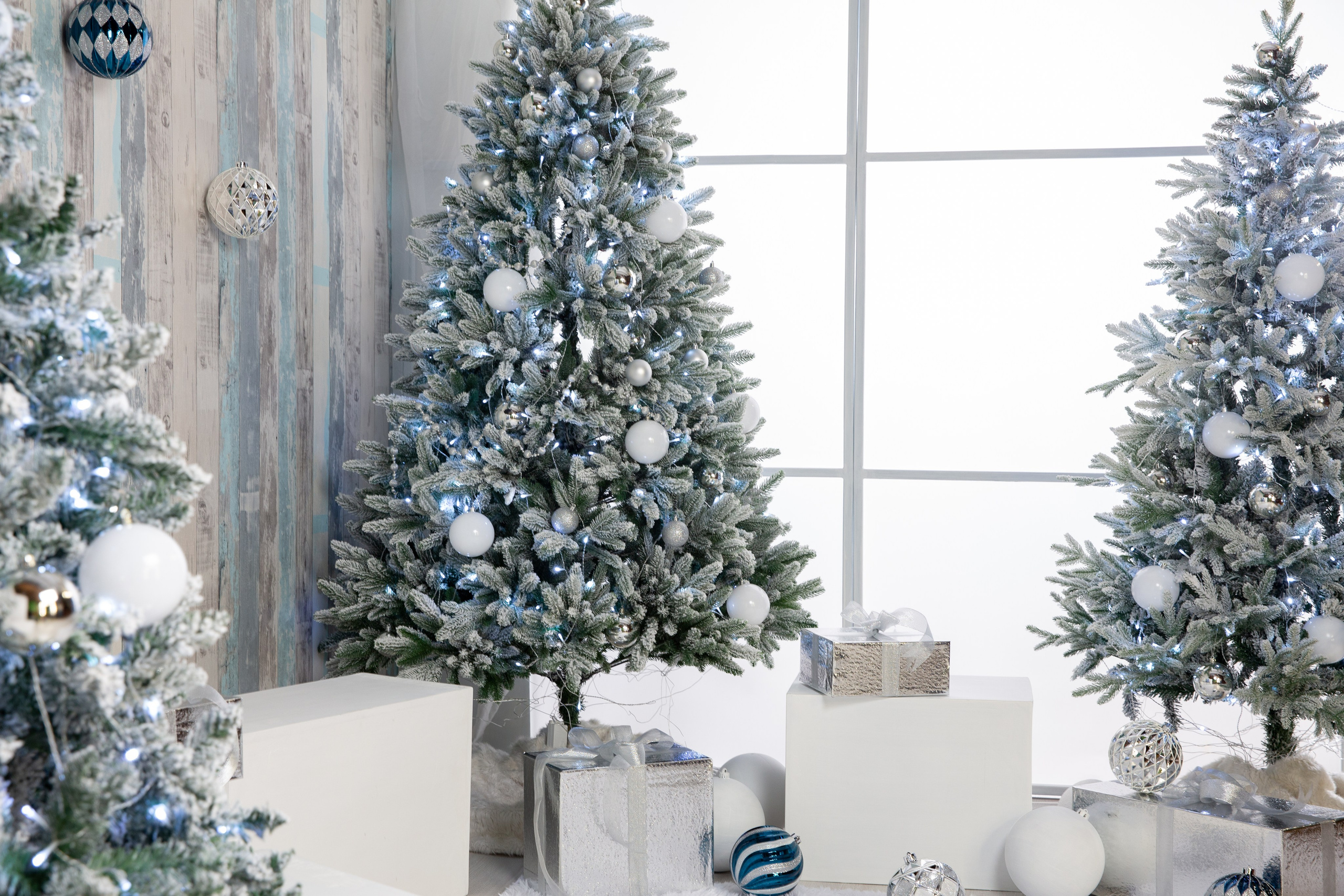 Лесная сказка. Фотостудия Алматы. Фотосъемка Алматы. Фотосессия Алматы. Фотокурсы. Обучение фотографии. Аренда студии