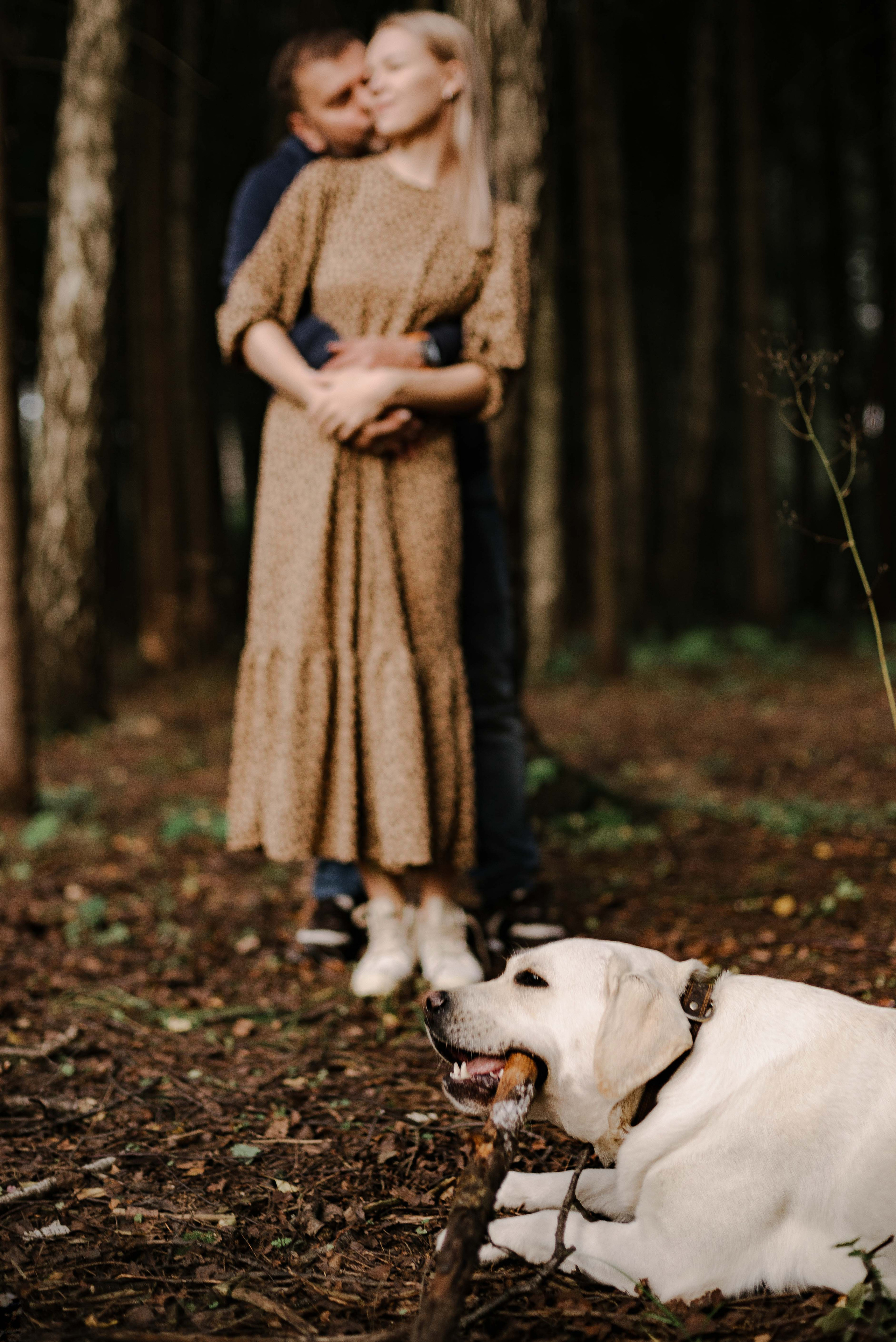 Мы вместе. Свадебный фотограф Анастасия Сюзанова