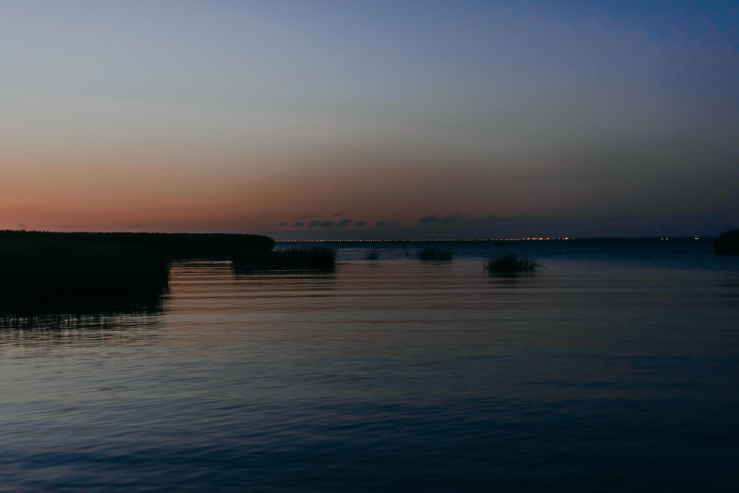 Всеволод и Анжелика. Свадебный фотограф Анастасия Сюзанова