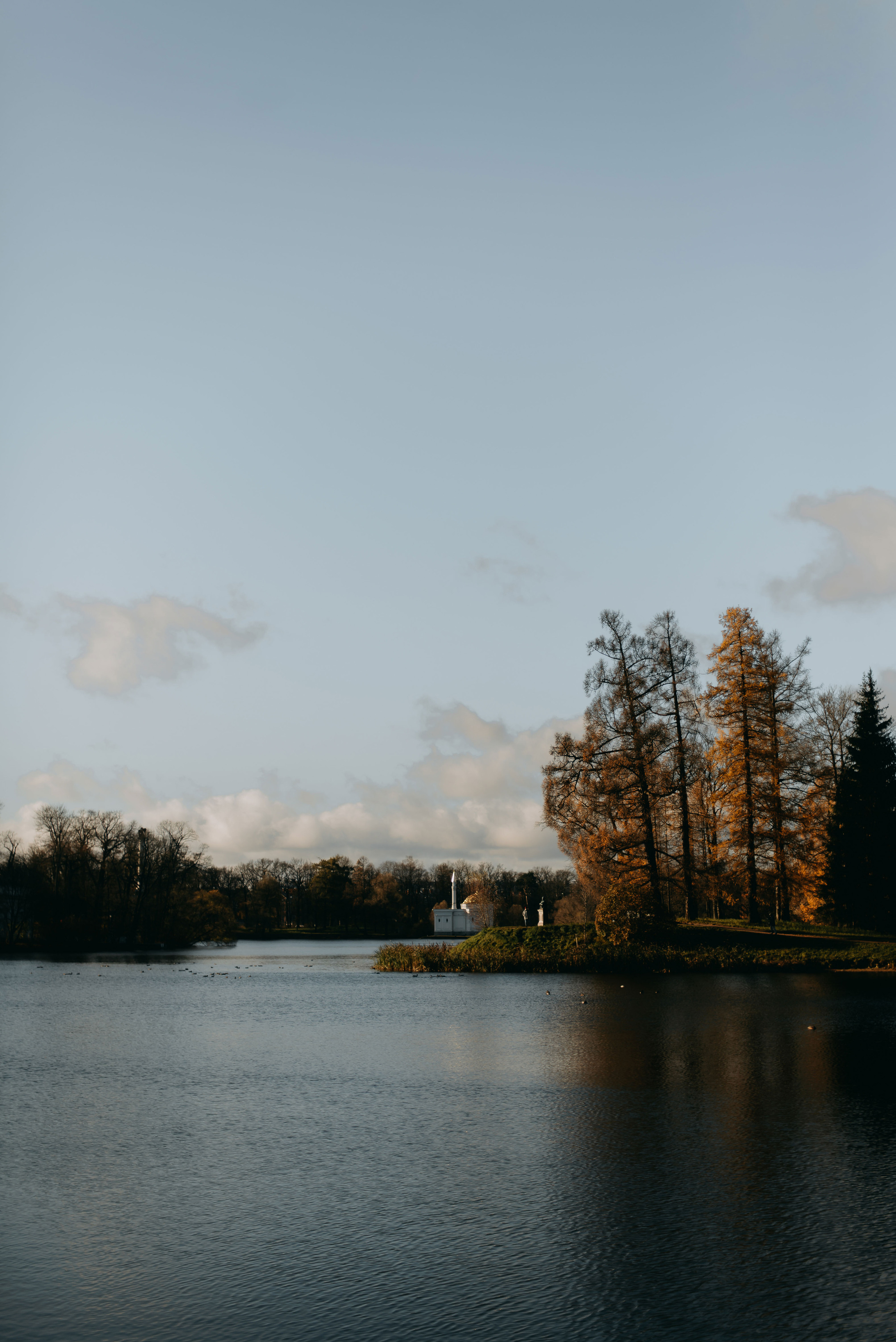 Илья и Наталья. Свадебный фотограф Анастасия Сюзанова