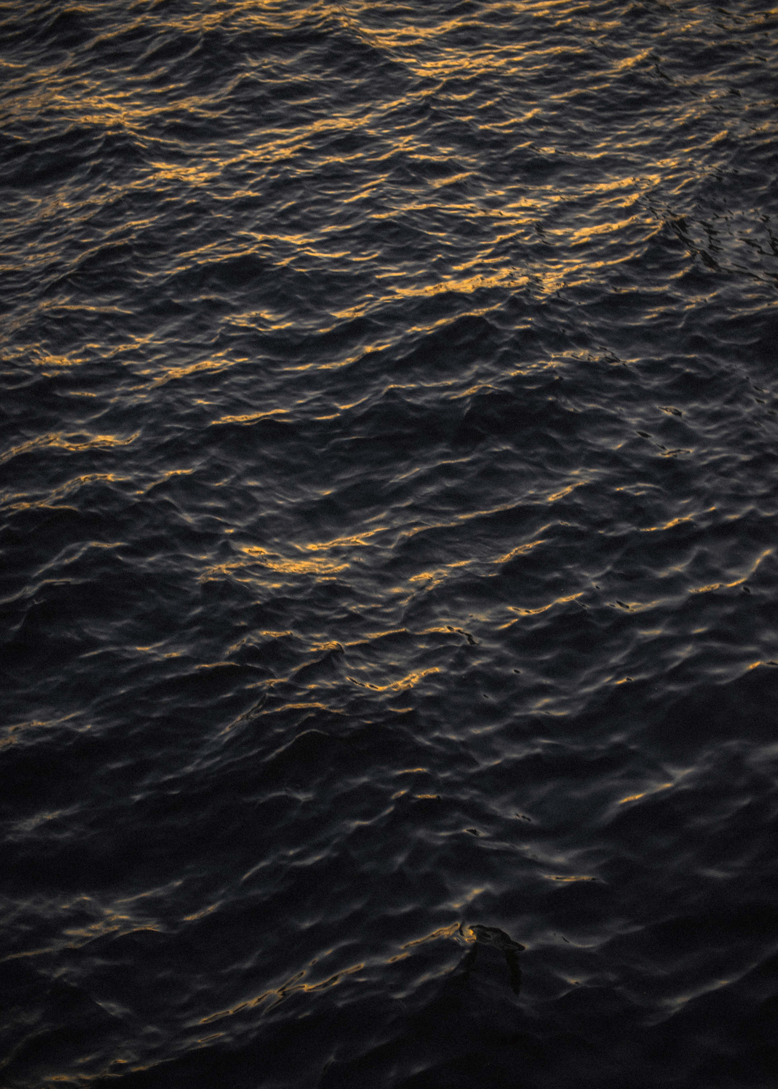 Руслан и Елена. Свадебный фотограф Анастасия Сюзанова