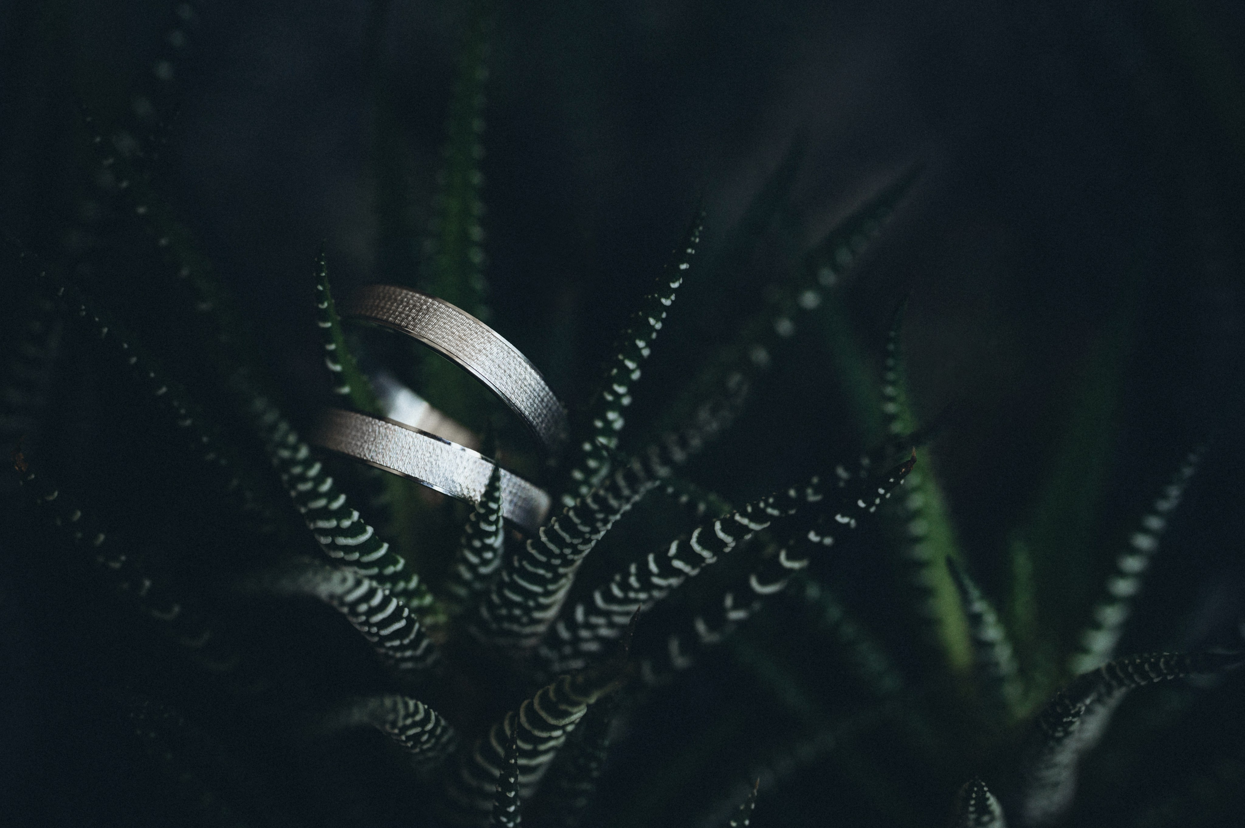 Денис и Кристина. Photographer in Sevastopol, Crimea and Moscow Gorbunov Denis