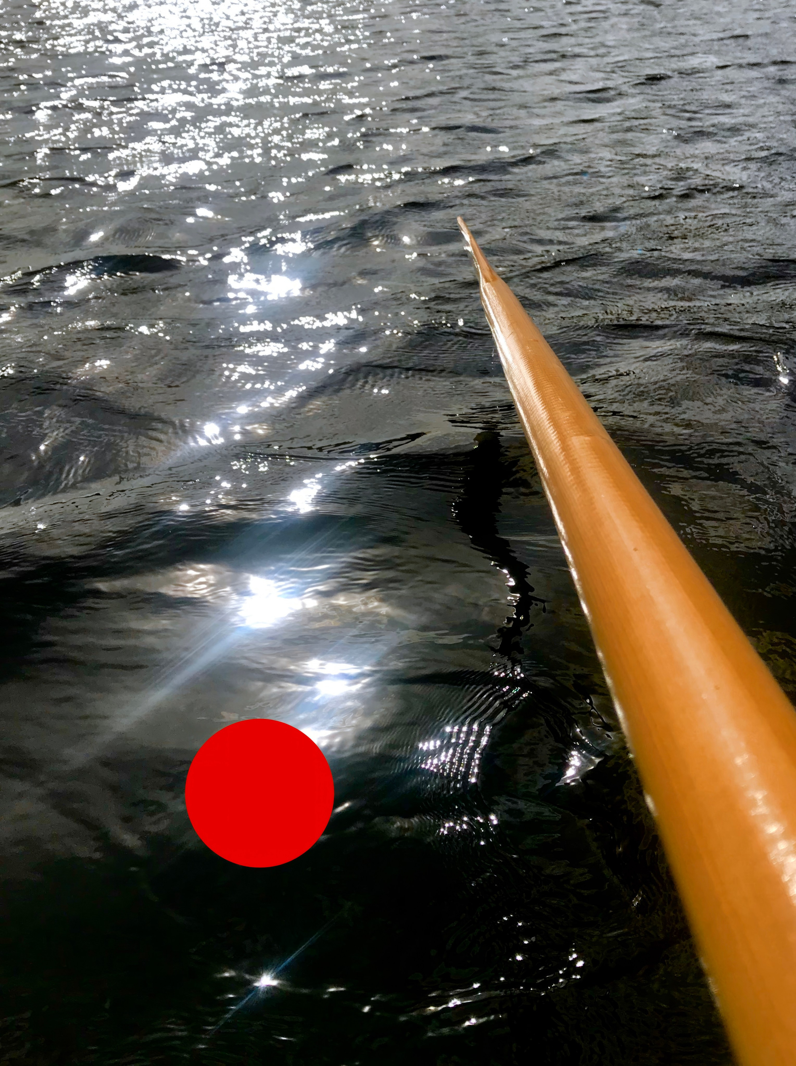 Испорченные фотографии — авторская серия Ма. Ма