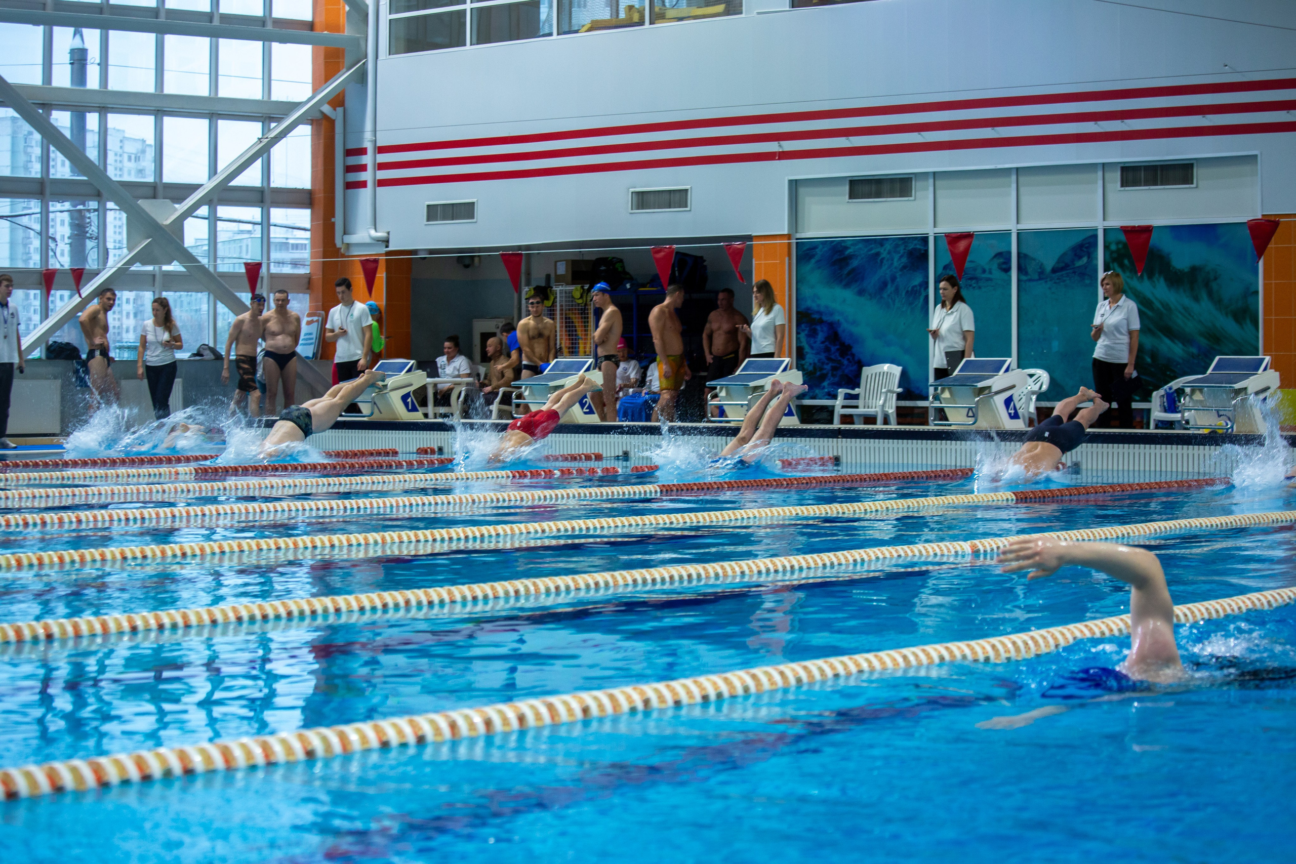Турнир по плаванию. Репортажный, семейный, свадебный, портретный фотограф