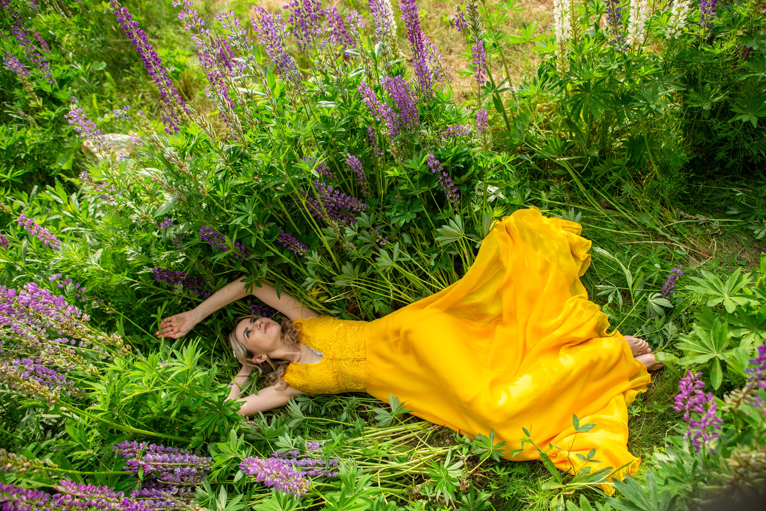 Фотосессия с люпинами. Репортажный, семейный, свадебный, портретный фотограф