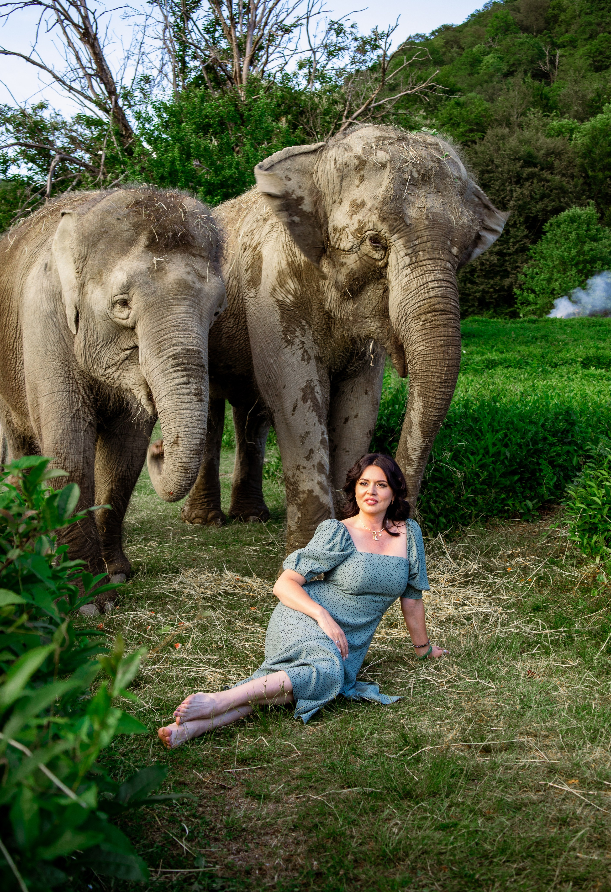 Слоны. Семейный и Свадебный фотограф в Сочи