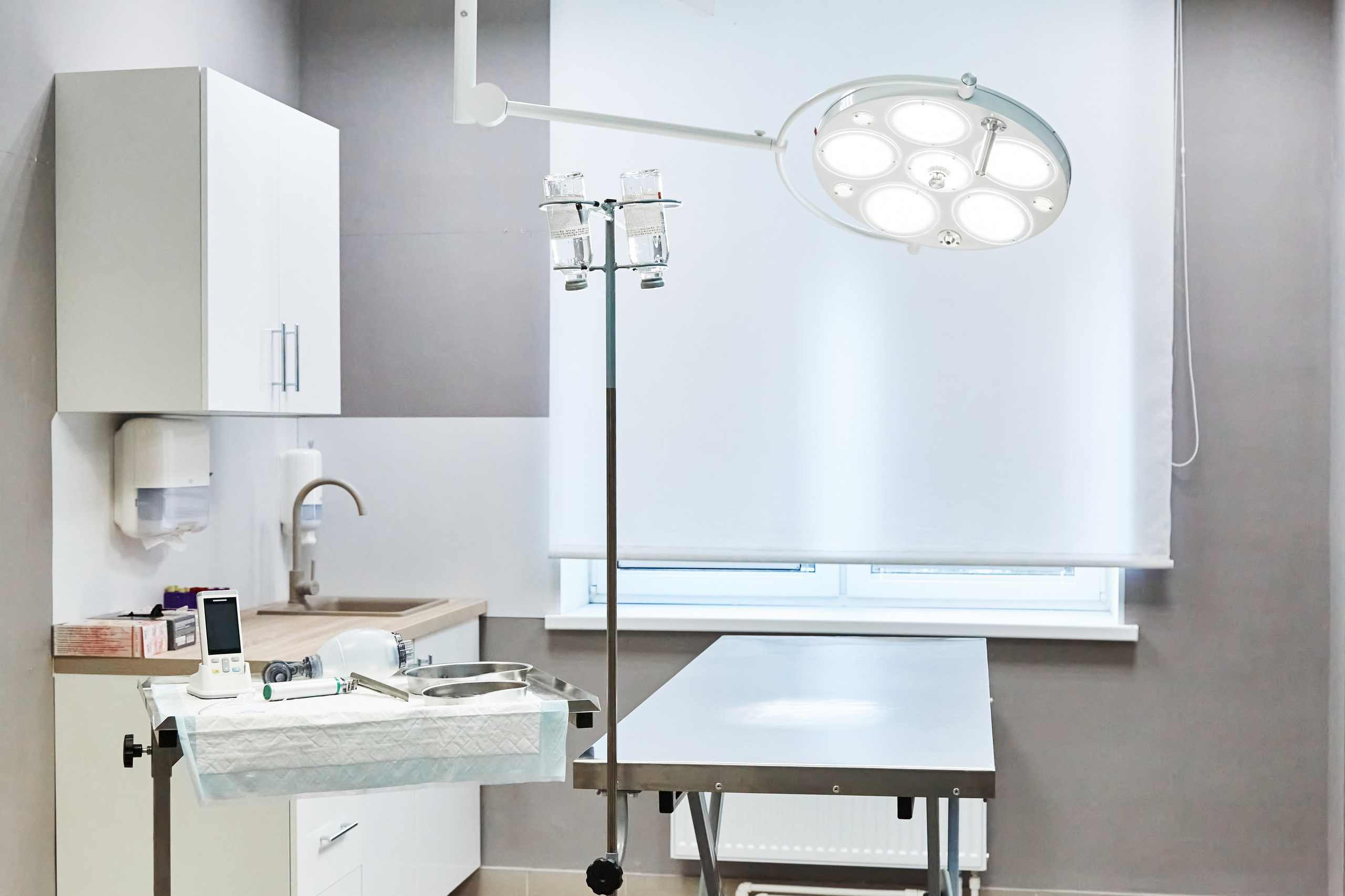 Клиника кошек. Фотограф Анастасия Леонтьева Санкт-Петербург