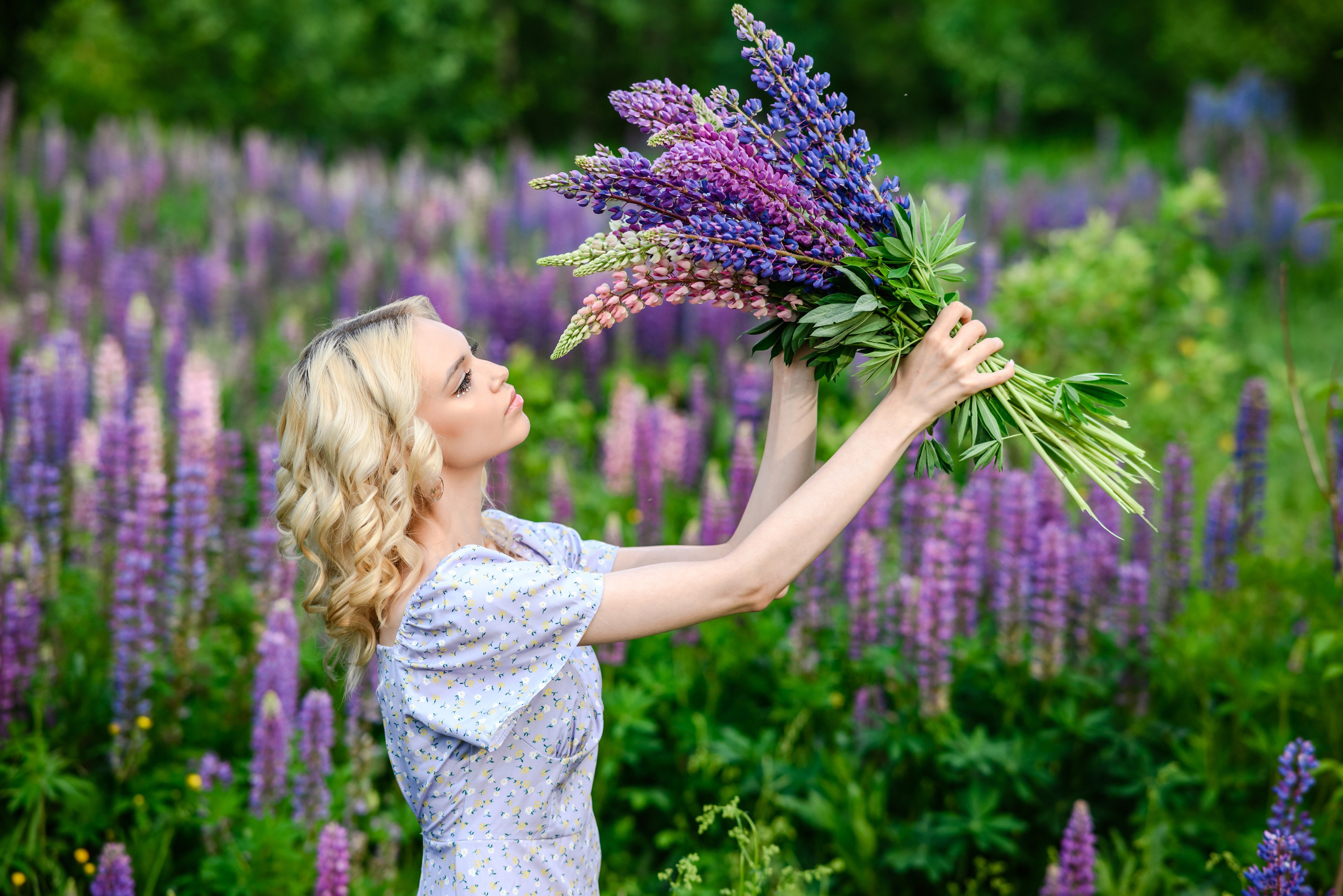 Владлена в люпинах. Свадебный и семейный фотограф в Дзержинске Екатерина Шулакова