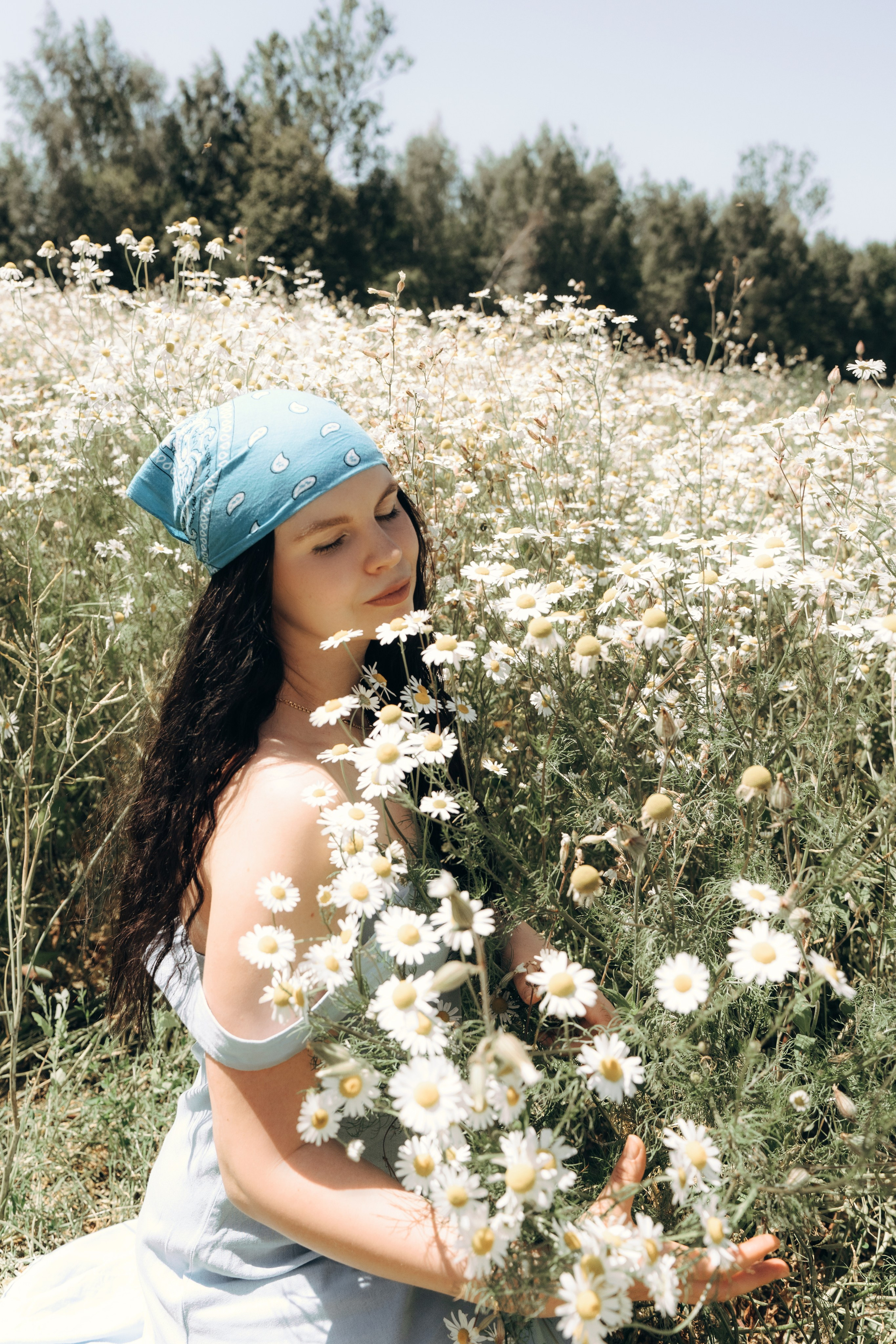 Ромашки. Ваш семейный фотограф в Минске — Вика Трегубова