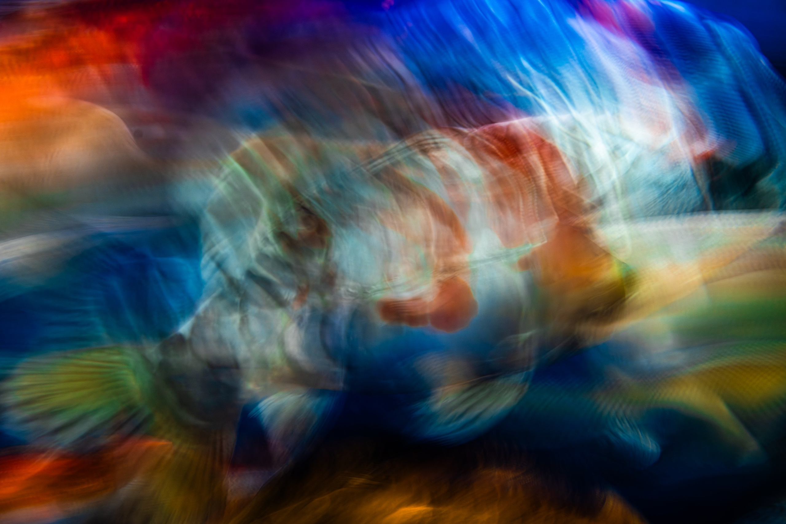 UNDERWATER. LUMEN DUO Art photography for interiors