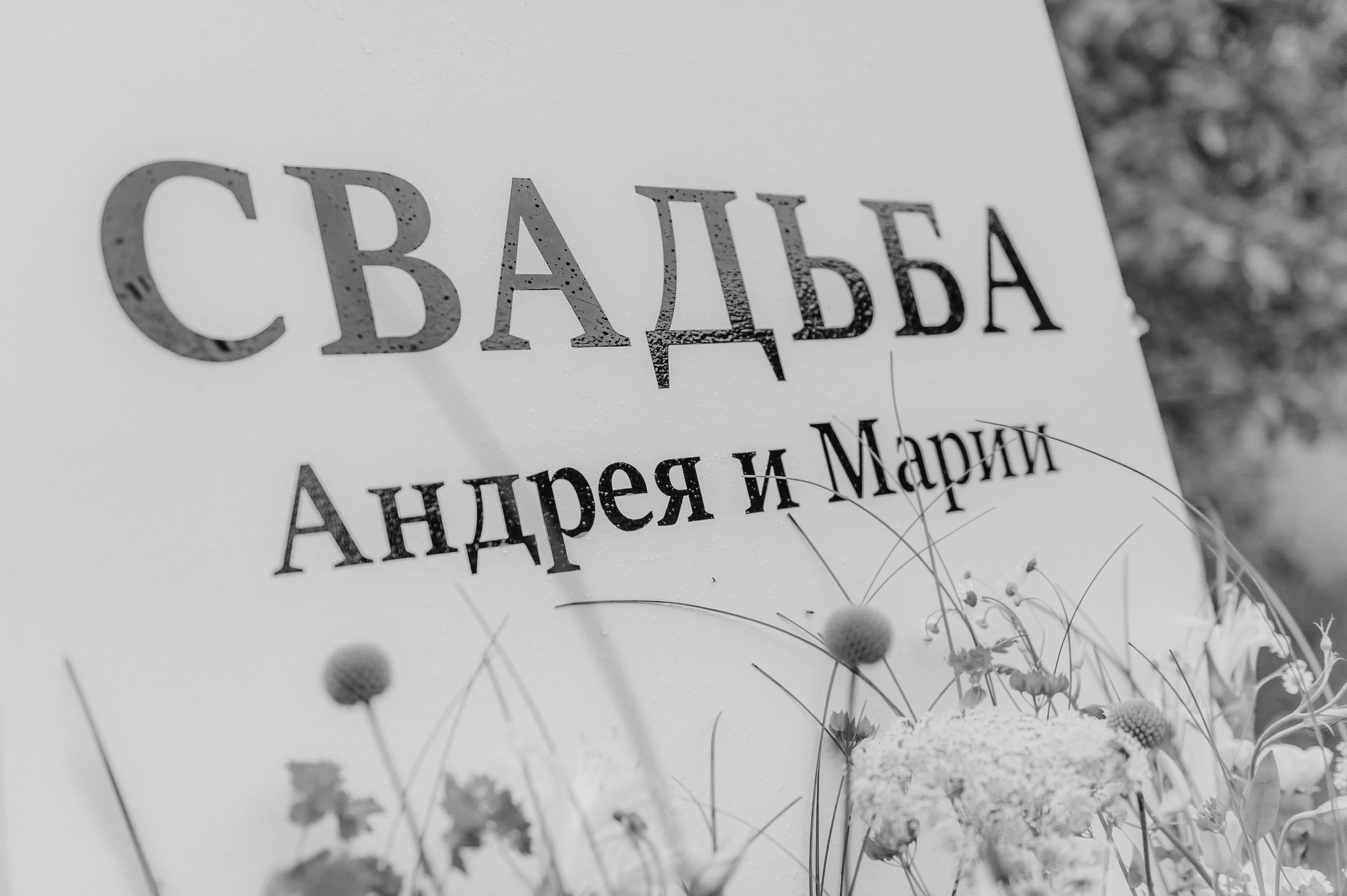 Мария и Андрей, 2023. Анна Пушина, фотограф, Москва, Королев, Пушкино