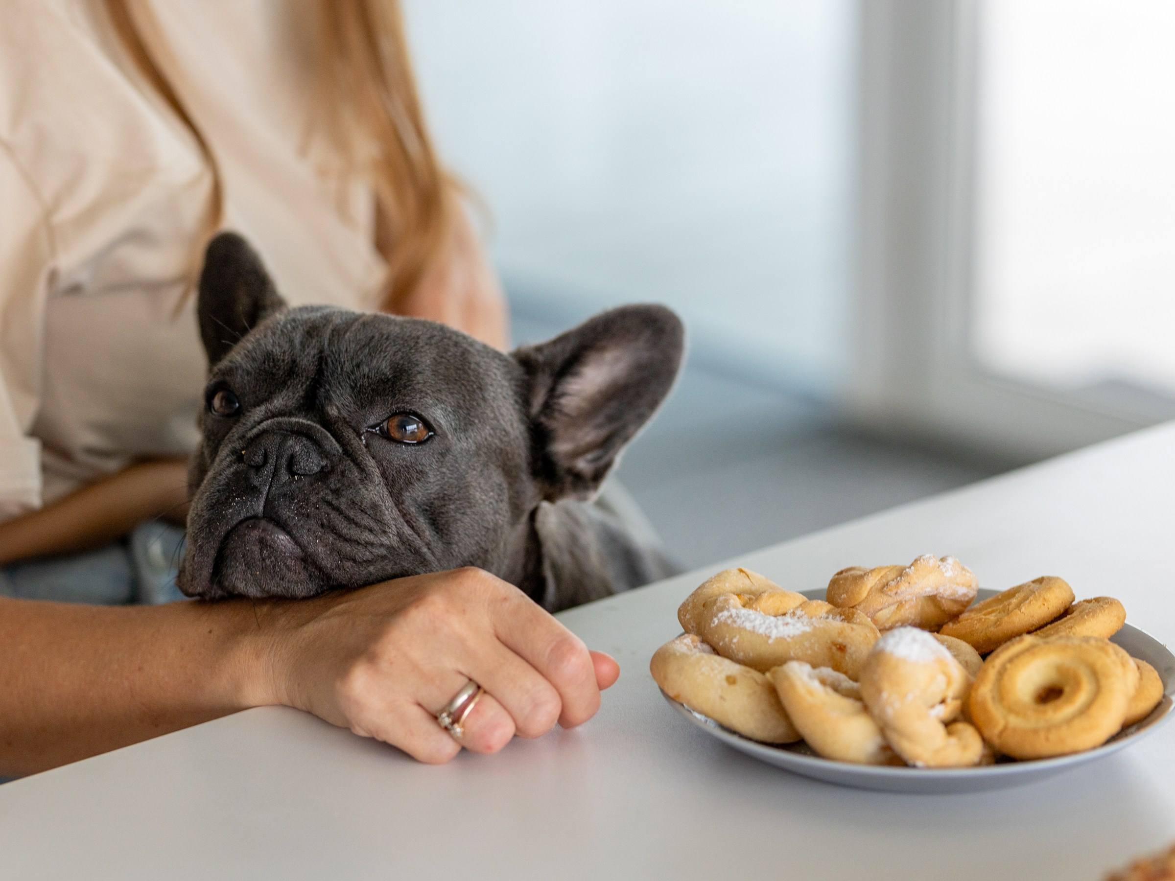 Семейный завтрак. Фотограф-анималист в Москве Кириллова Татьяна