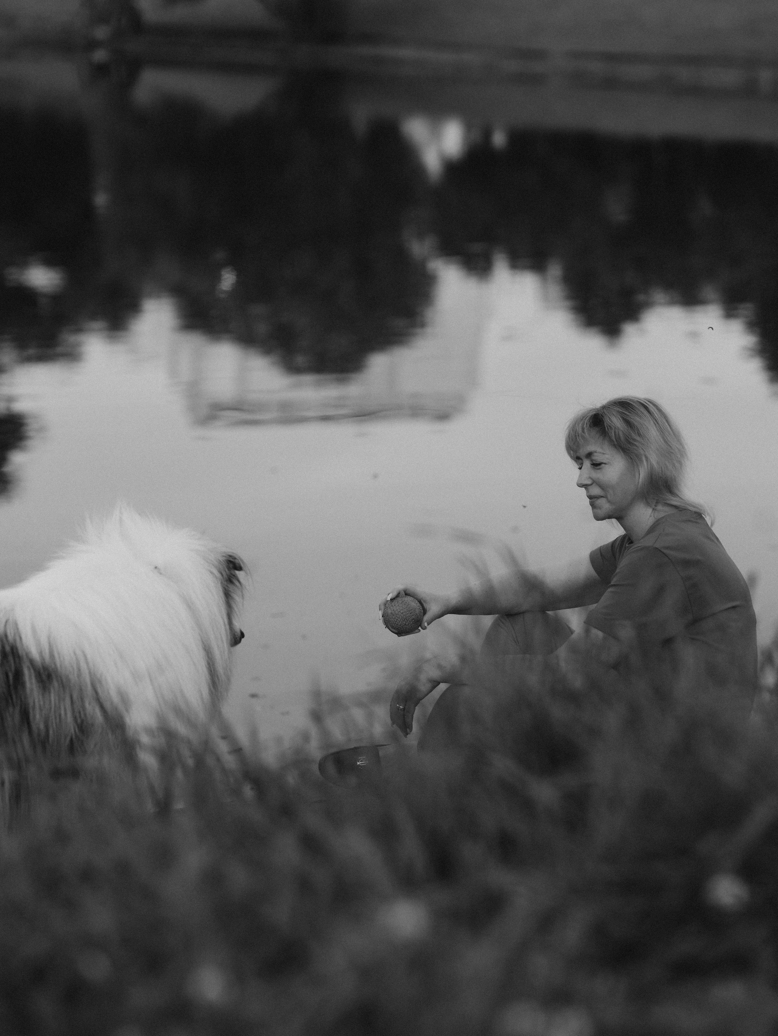 Гранд и Инга. Фотограф-анималист в Москве Кириллова Татьяна