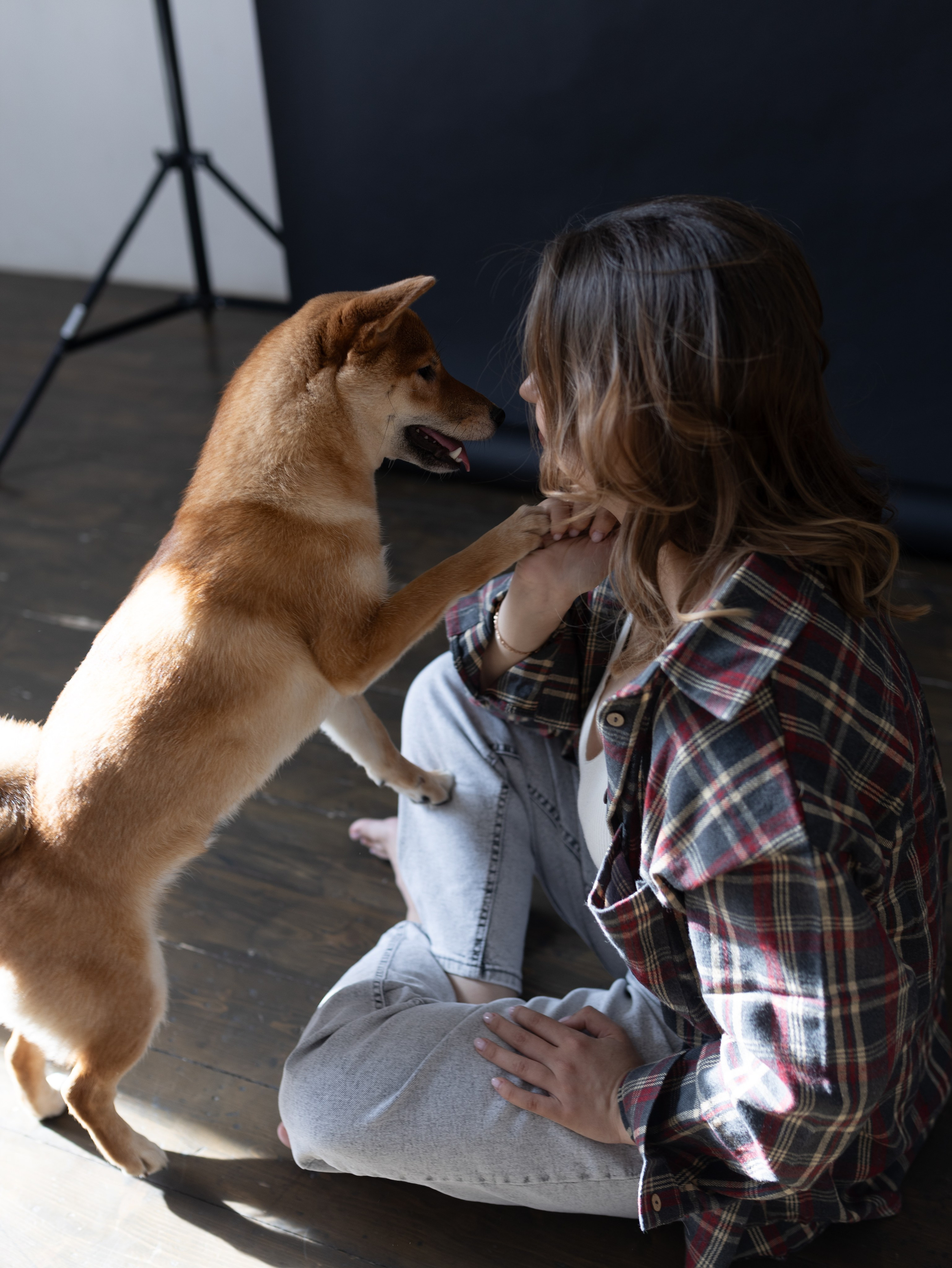 Мика и Настя. Фотограф-анималист в Москве Кириллова Татьяна