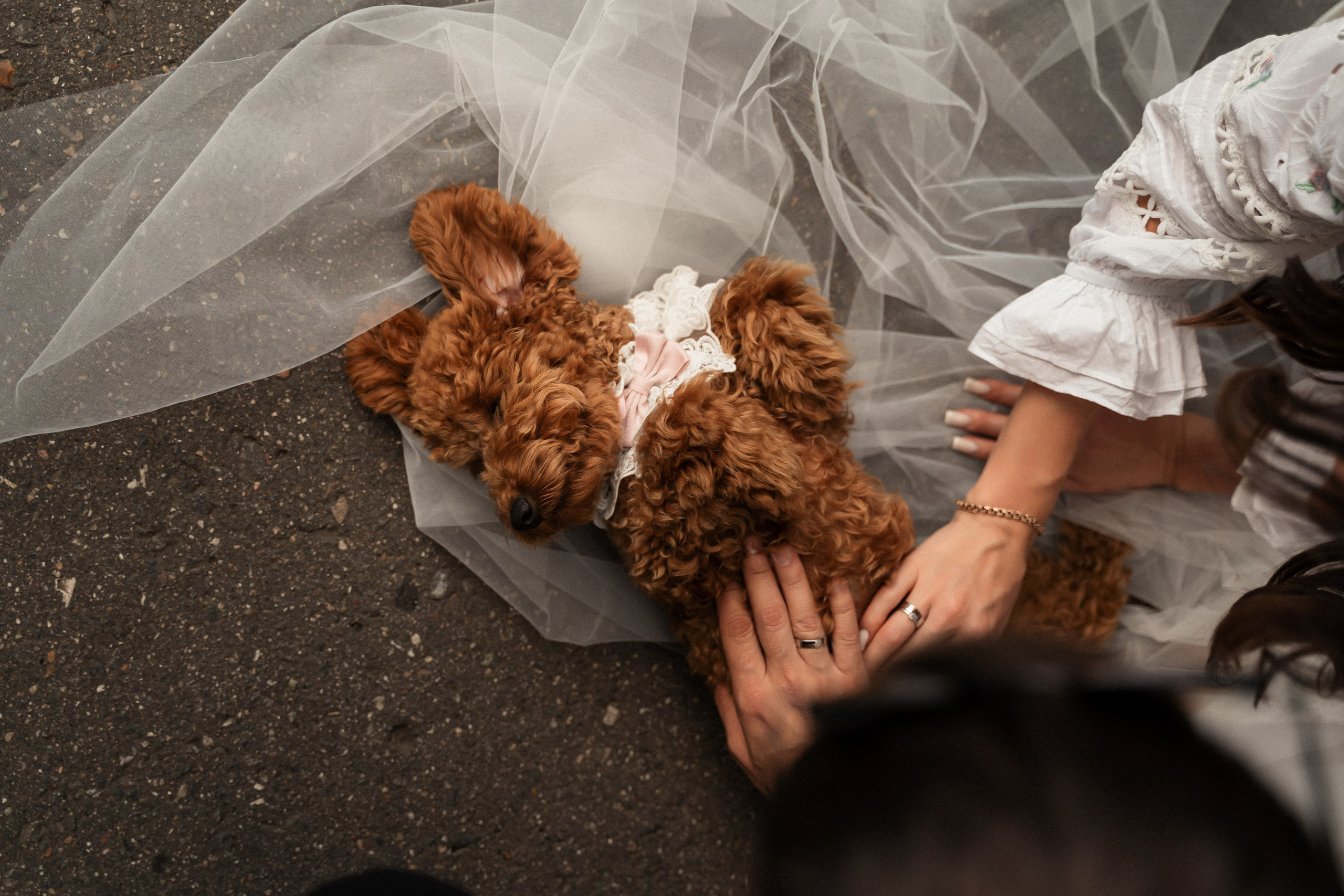 Александра и Владислав. Фотограф Алина Филимонова Тверь