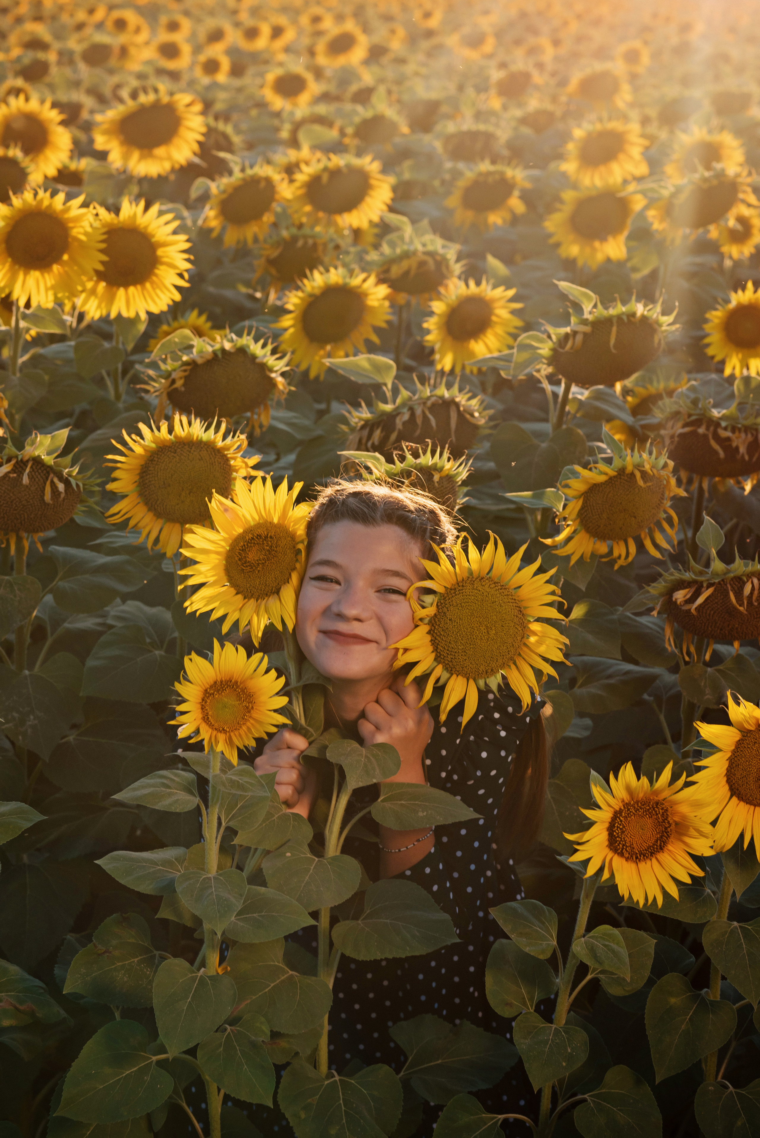Яркие подсолнухи. Детский и семейный фотограф выпускной альбом Приморско-Ахтарск