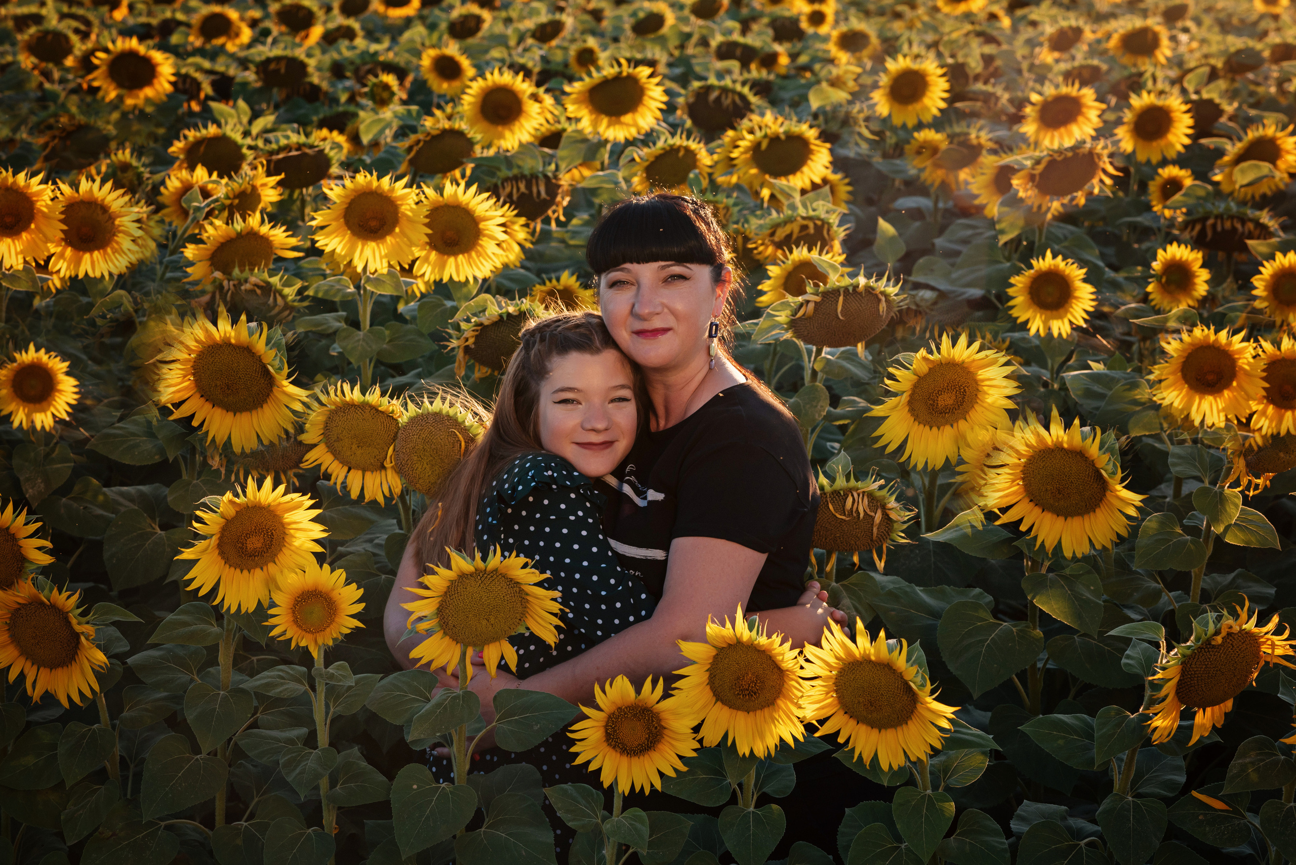 Яркие подсолнухи. Детский и семейный фотограф выпускной альбом Приморско-Ахтарск