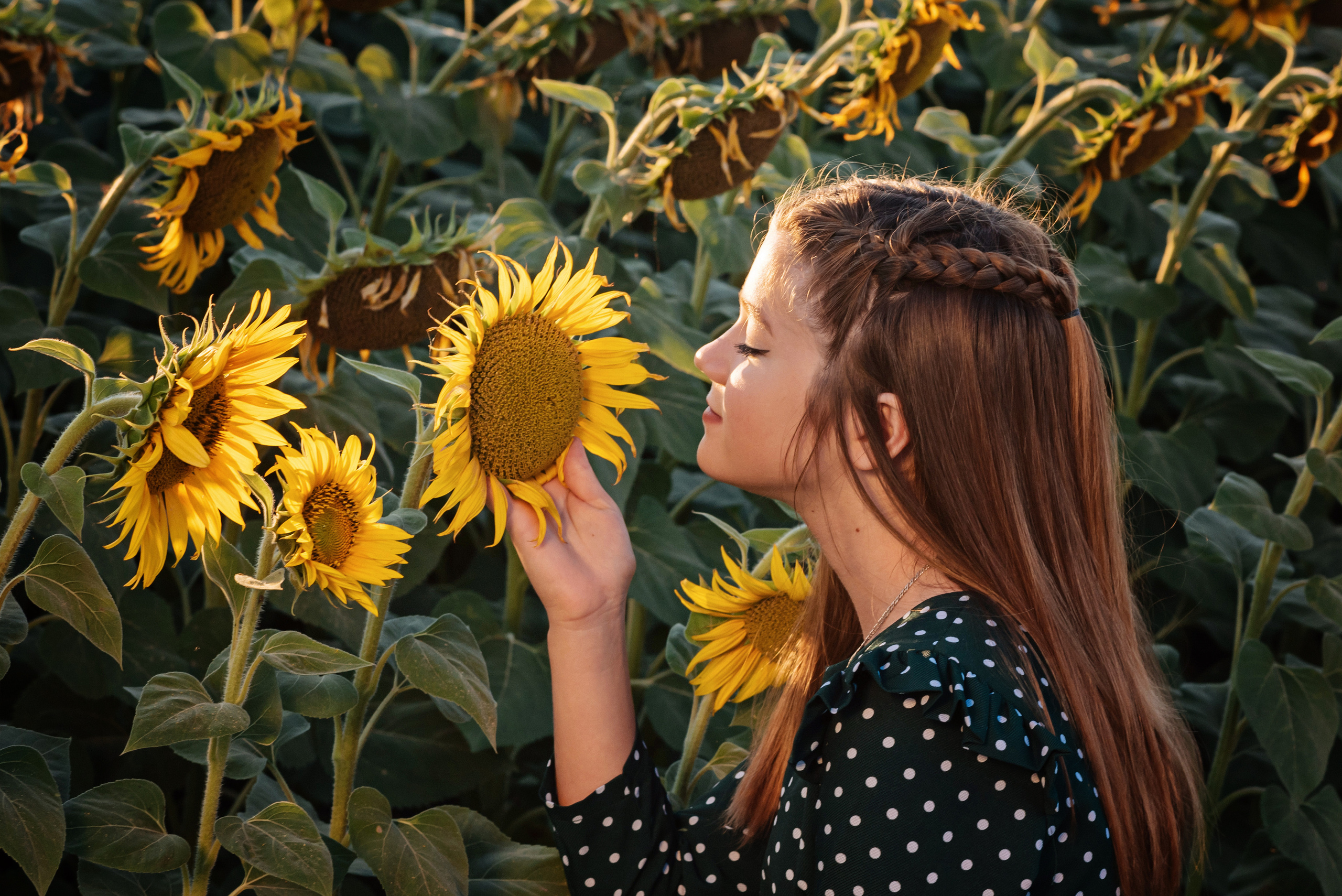 Яркие подсолнухи. Детский и семейный фотограф выпускной альбом Приморско-Ахтарск