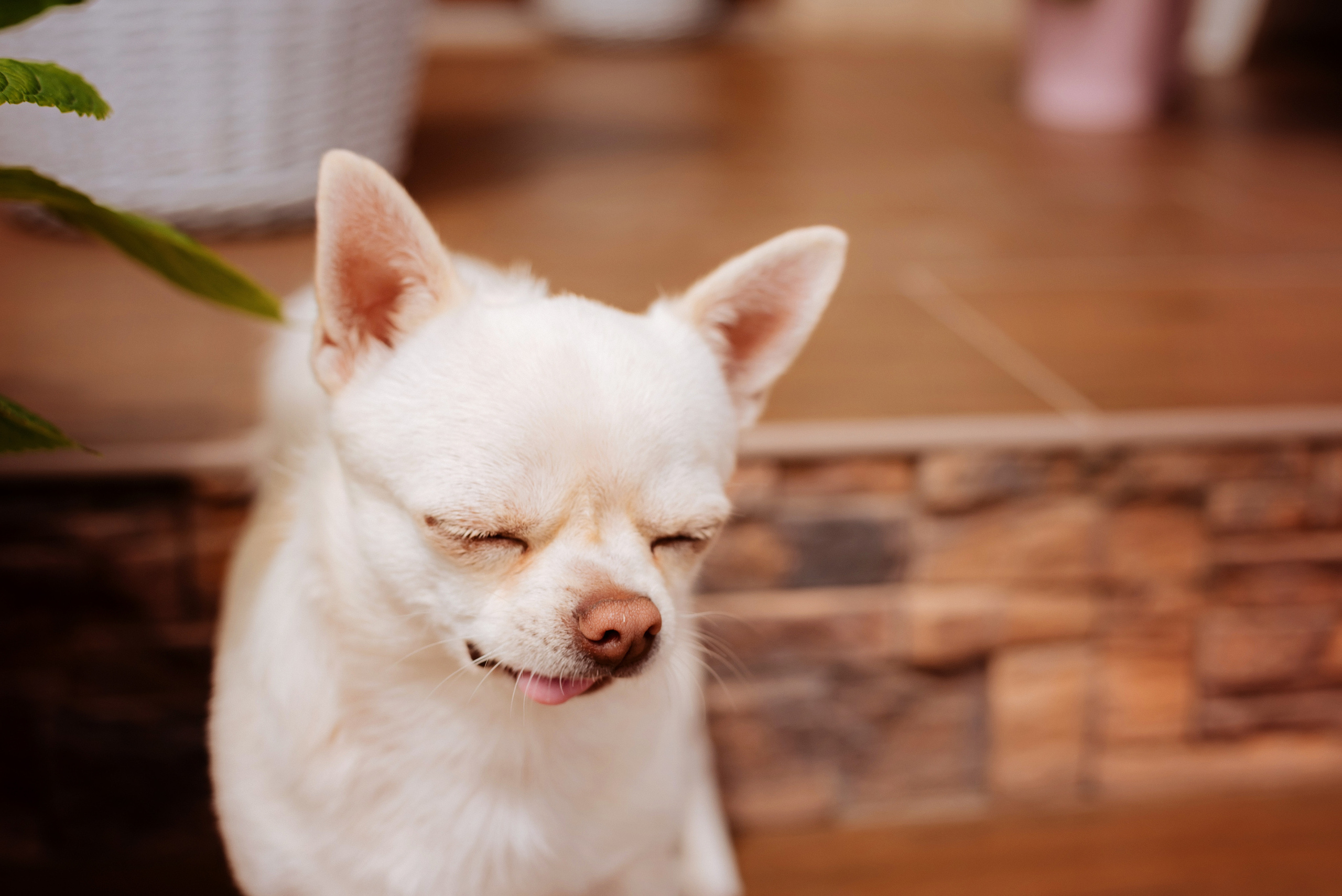 Утро…. Детский и семейный фотограф выпускной альбом Приморско-Ахтарск