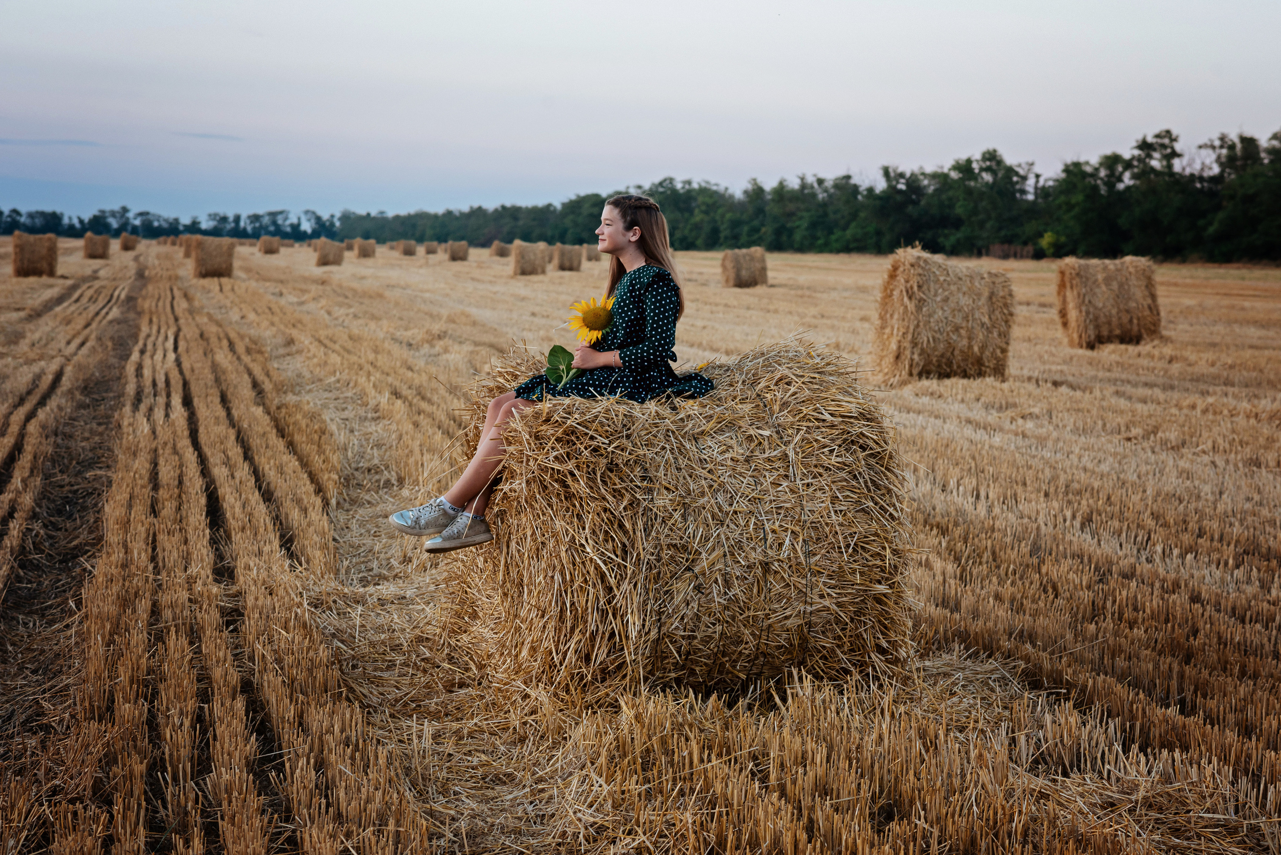 Яркие подсолнухи. Детский и семейный фотограф выпускной альбом Приморско-Ахтарск