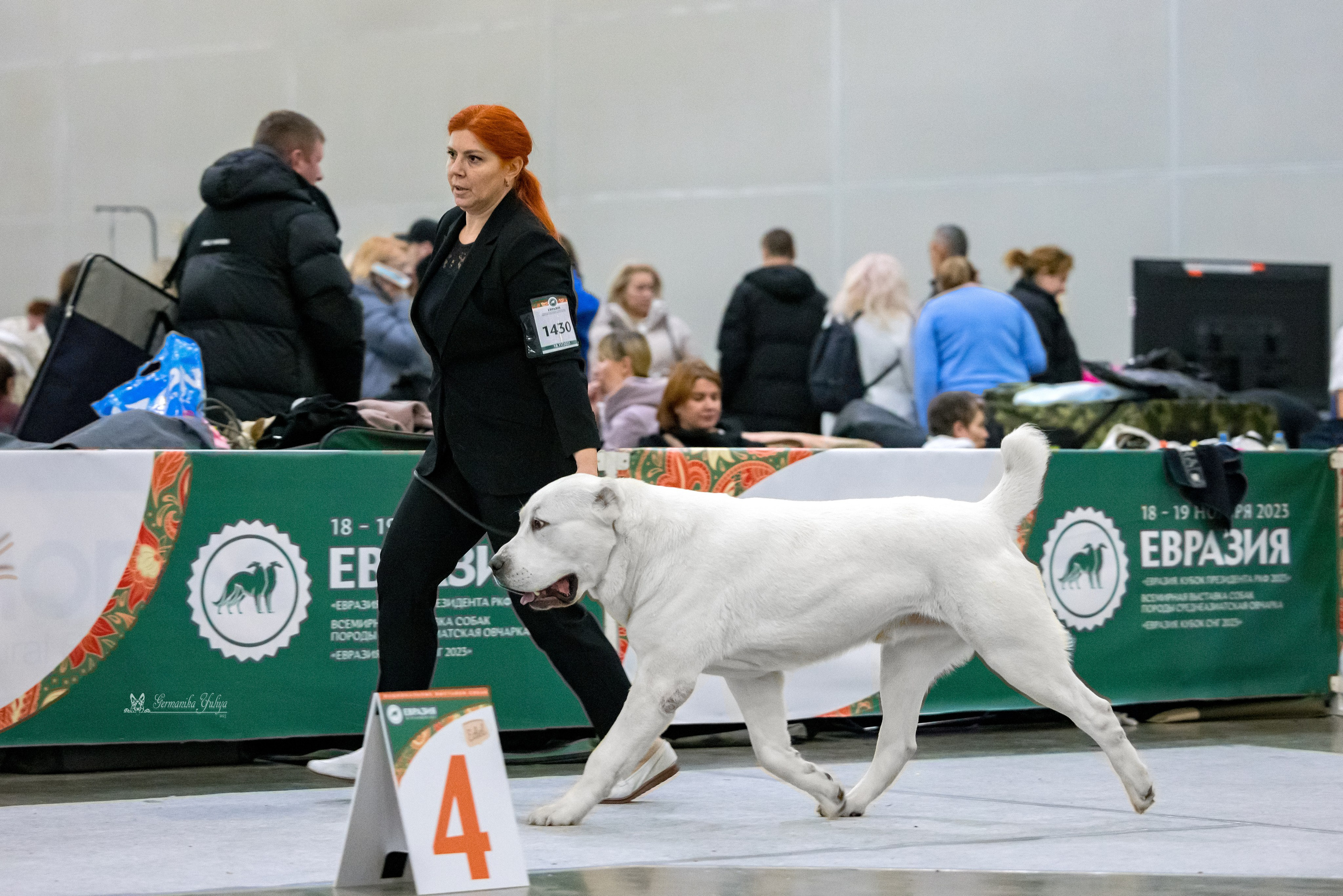 ЕВРАЗИЯ 18-19.11.2023. Фотограф-анималист Юлия Германика