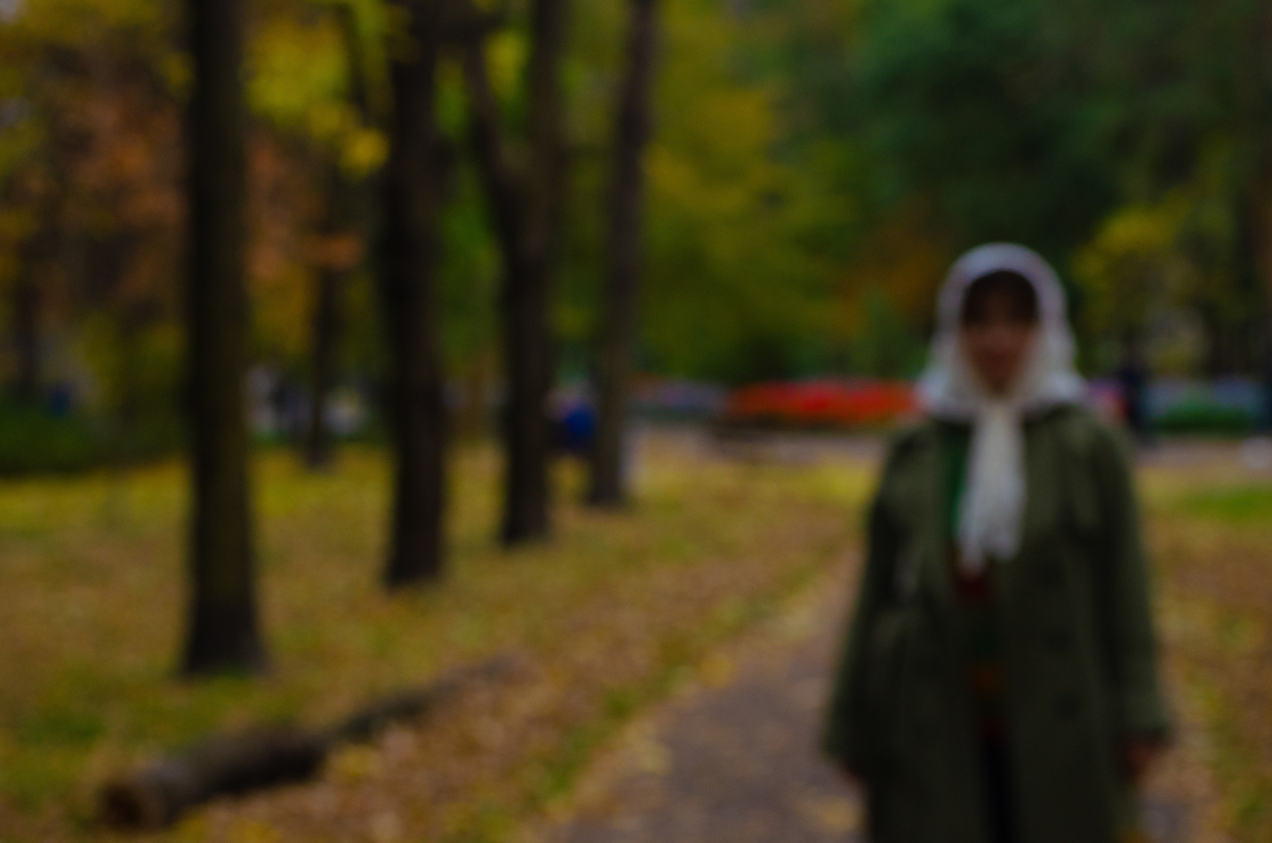 Фотопроект  "Моя осень" / Photoproject "My autumn"